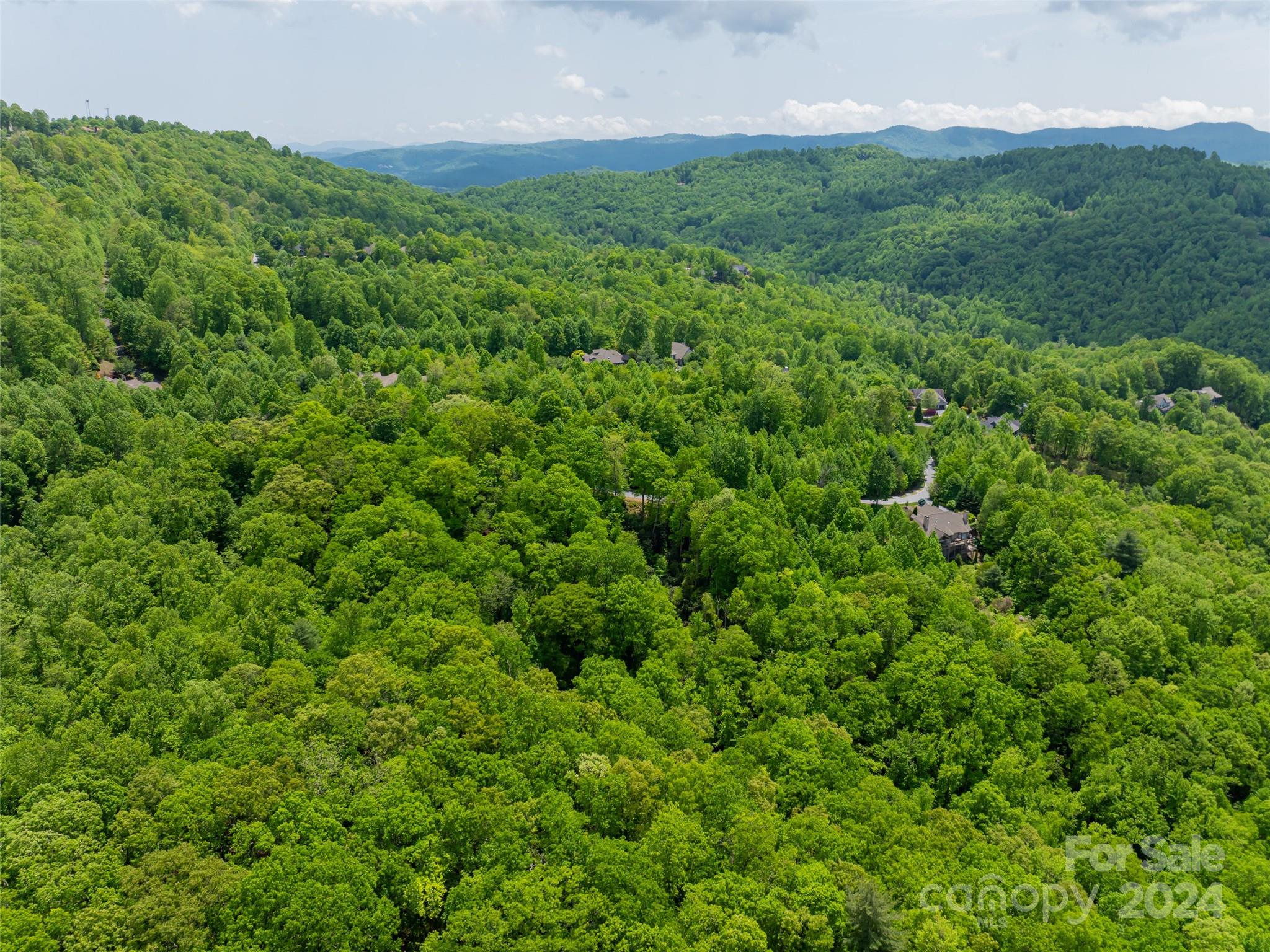 185 Crossvine Trail Property Photo 21