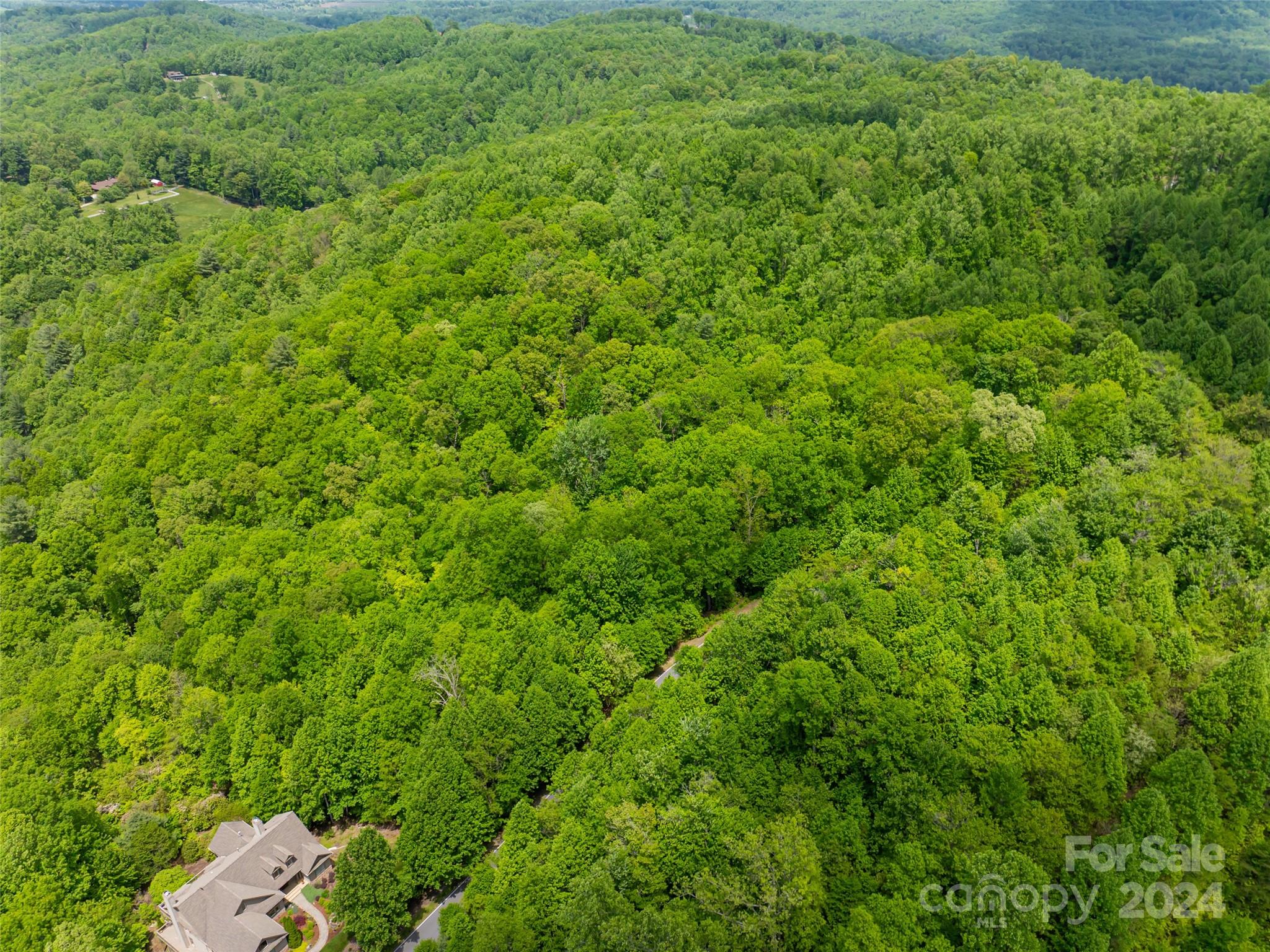 185 Crossvine Trail Property Photo 25