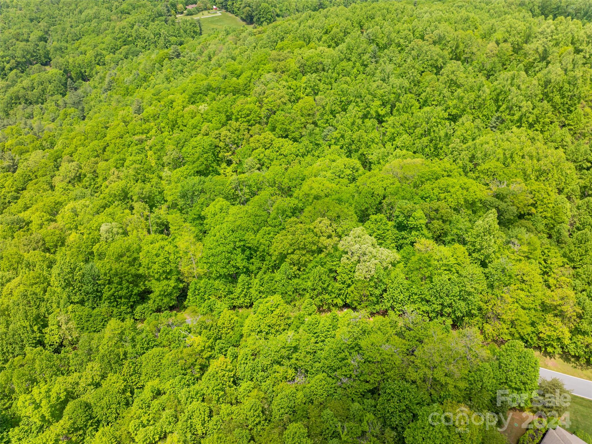 185 Crossvine Trail Property Photo 26