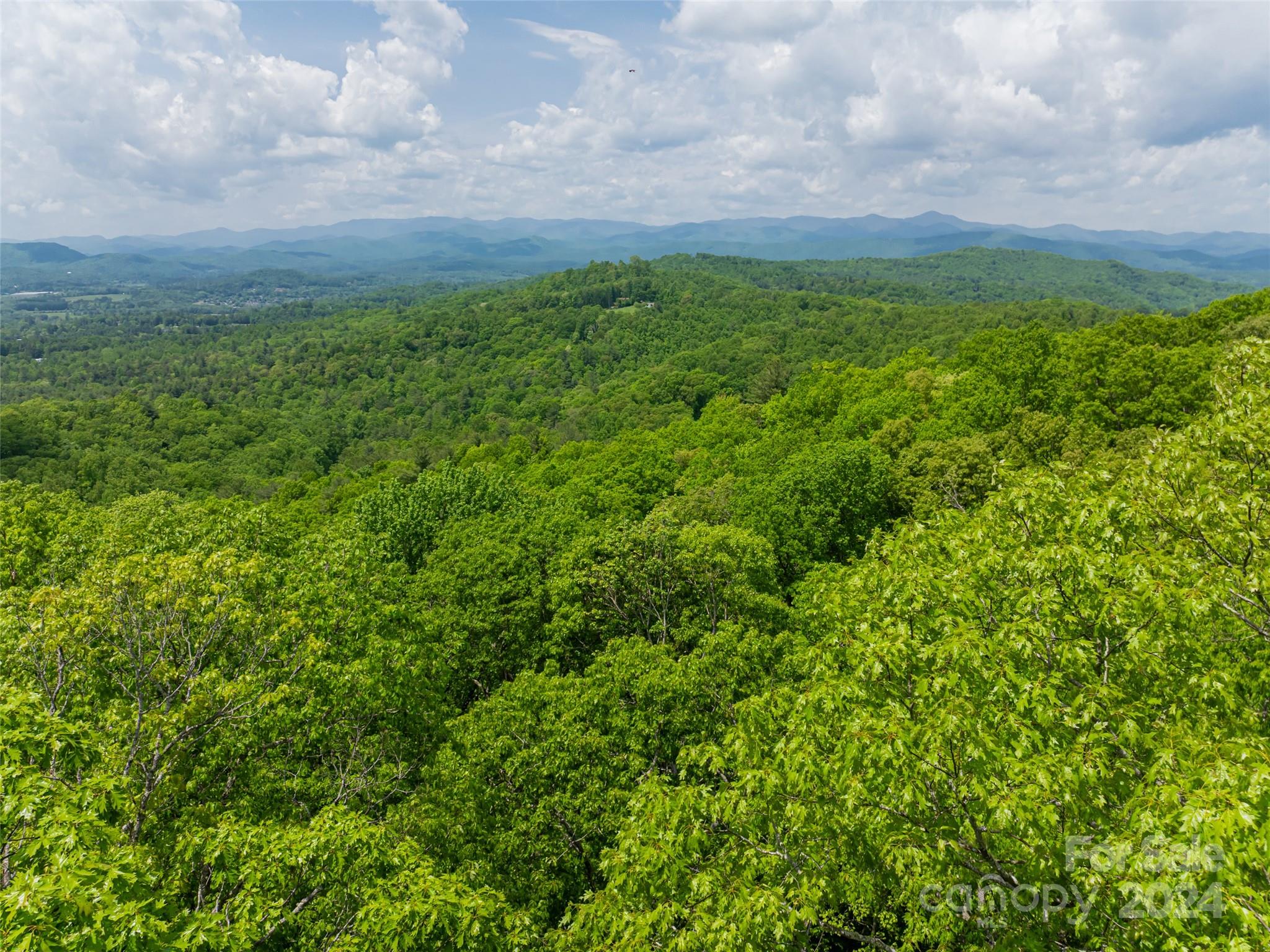 185 Crossvine Trail Property Photo 28