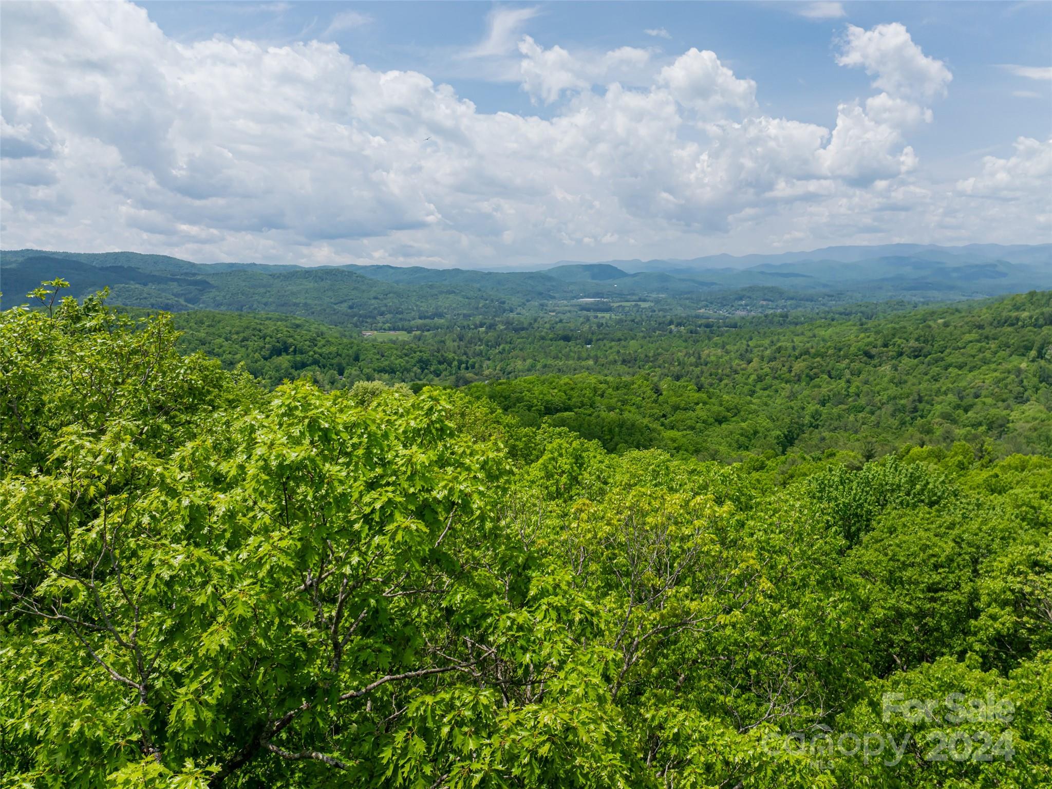 185 Crossvine Trail Property Photo 29
