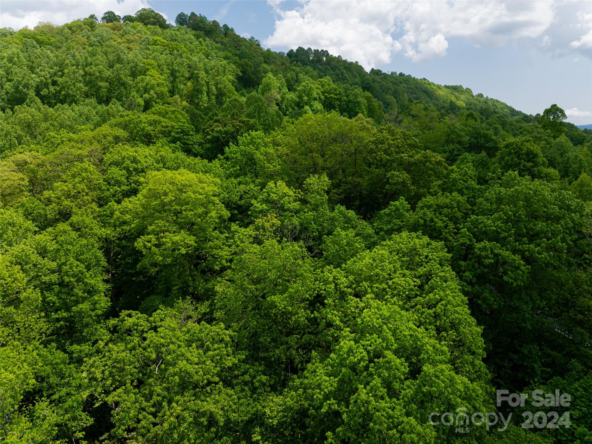 185 Crossvine Trail Property Photo 31