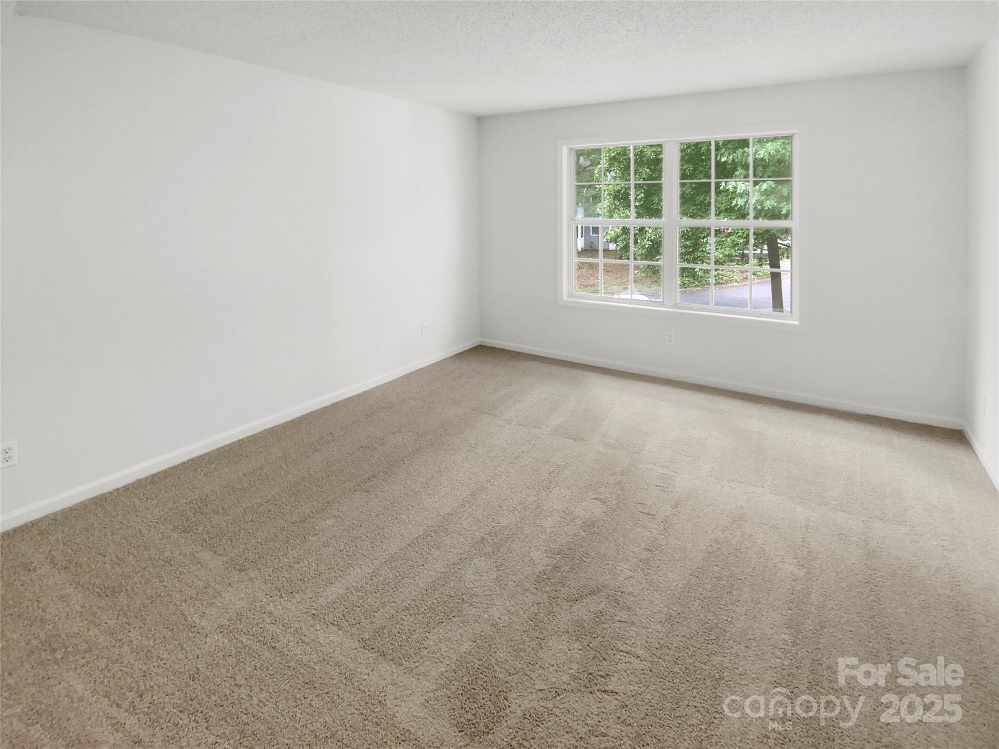 6003 Treetop Court Property Photo 12