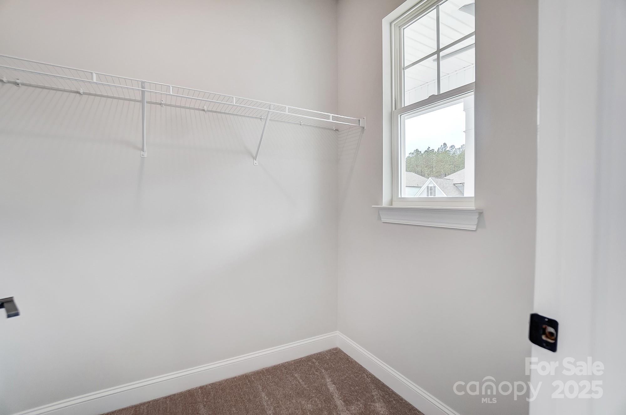 2003 Cedar Falls Drive 69 Property Photo 35