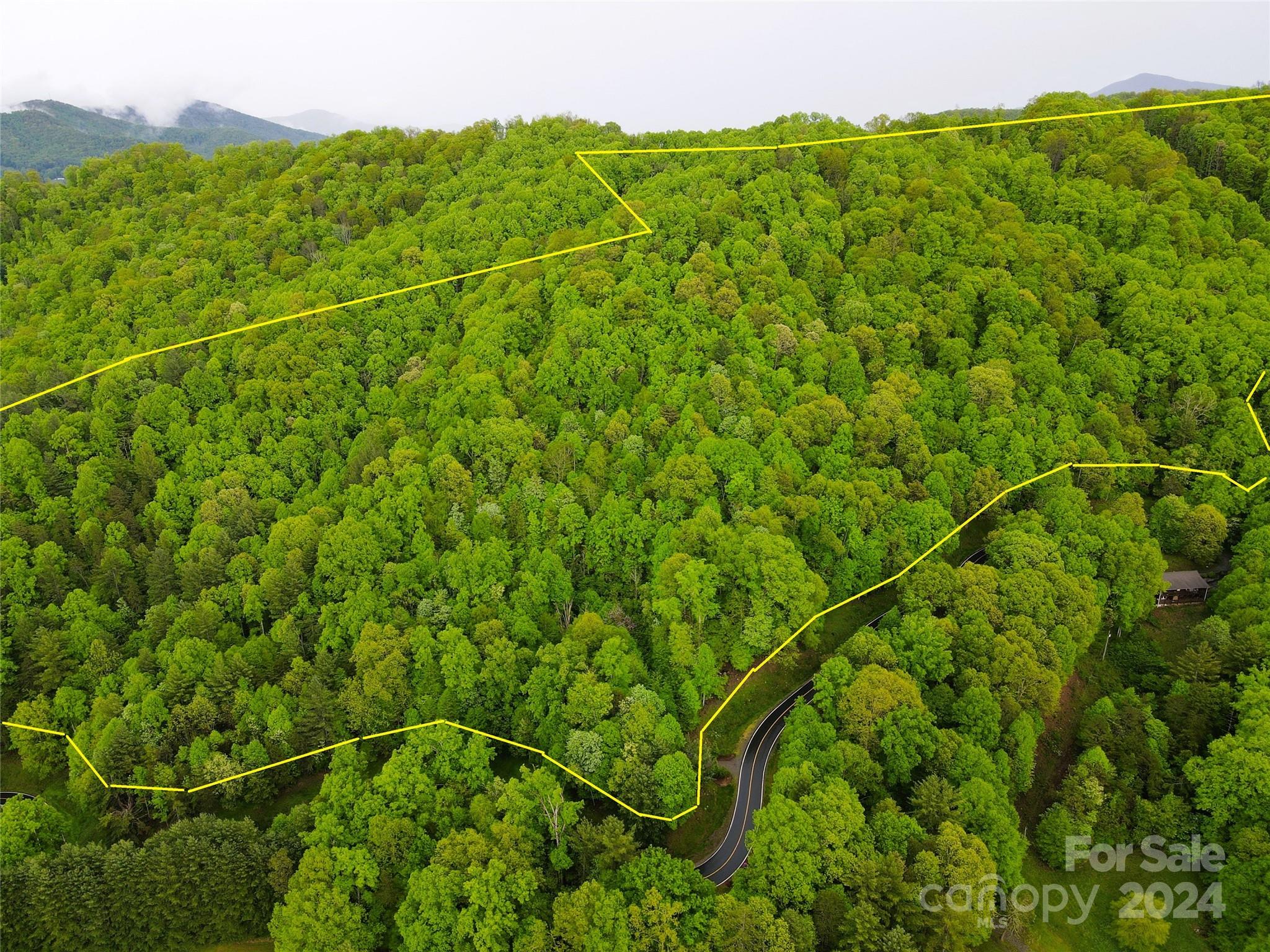 000 Mountain Air Drive Property Photo 2