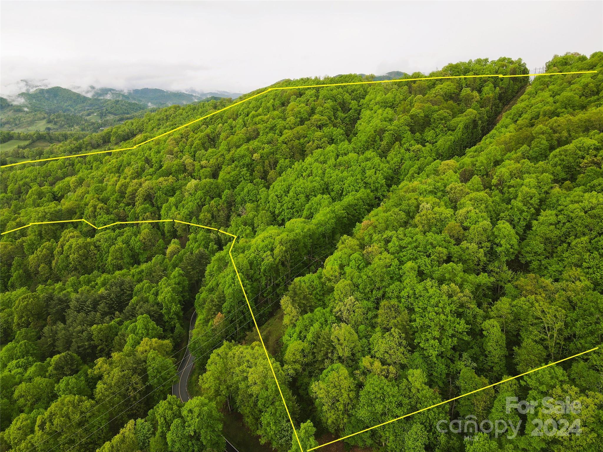 000 Mountain Air Drive Property Photo 3