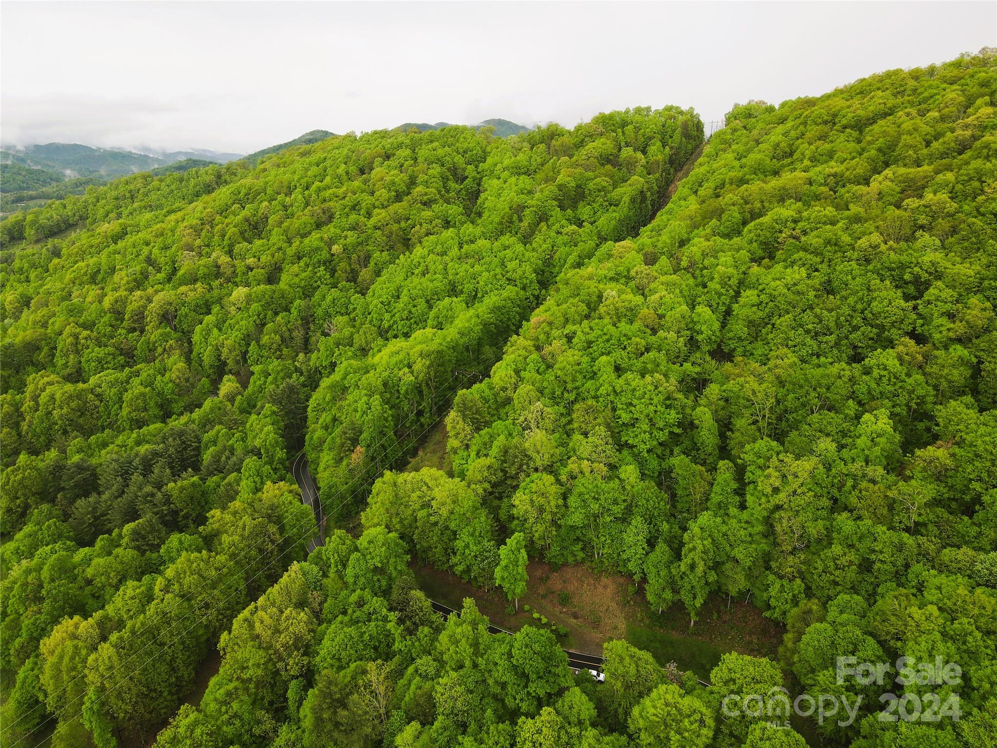 000 Mountain Air Drive Property Photo 4