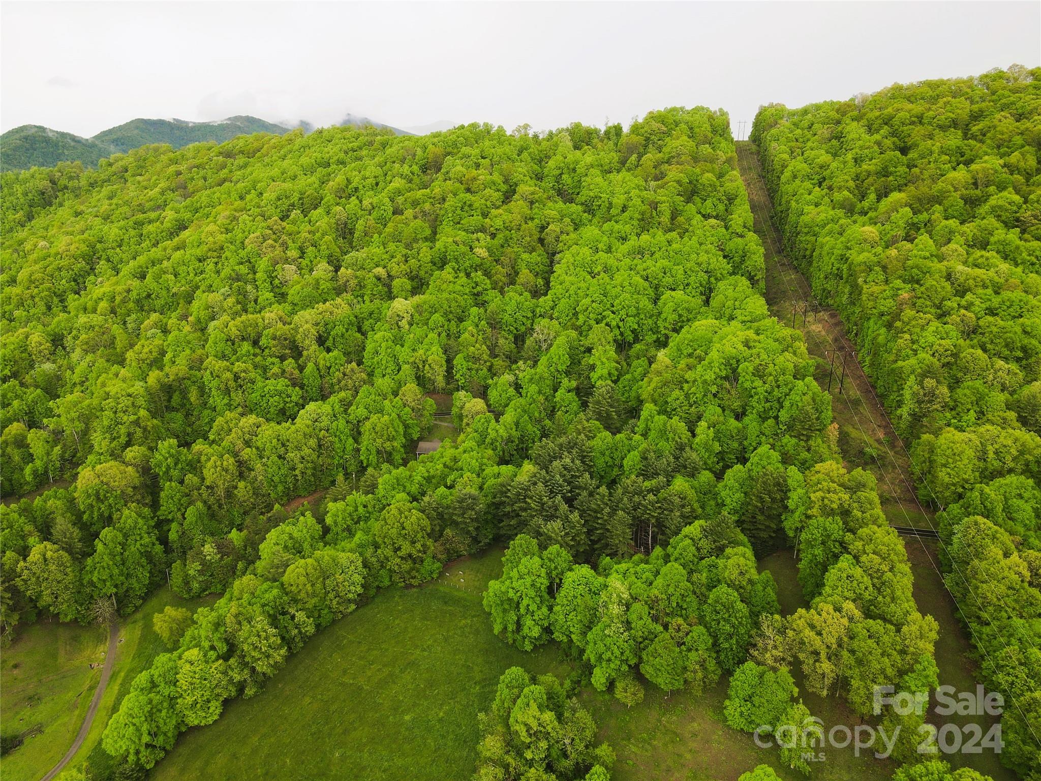 000 Mountain Air Drive Property Photo 6