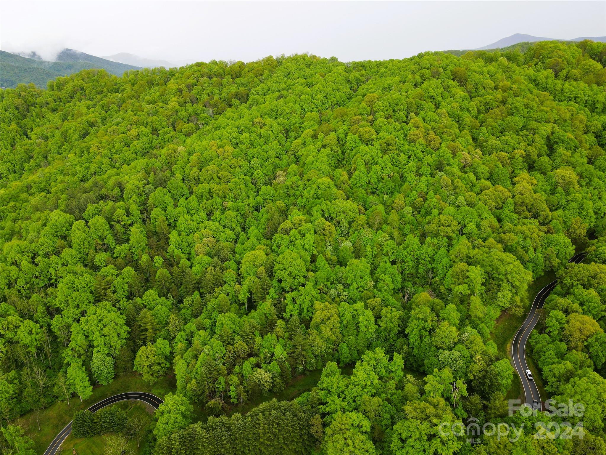 000 Mountain Air Drive Property Photo 10