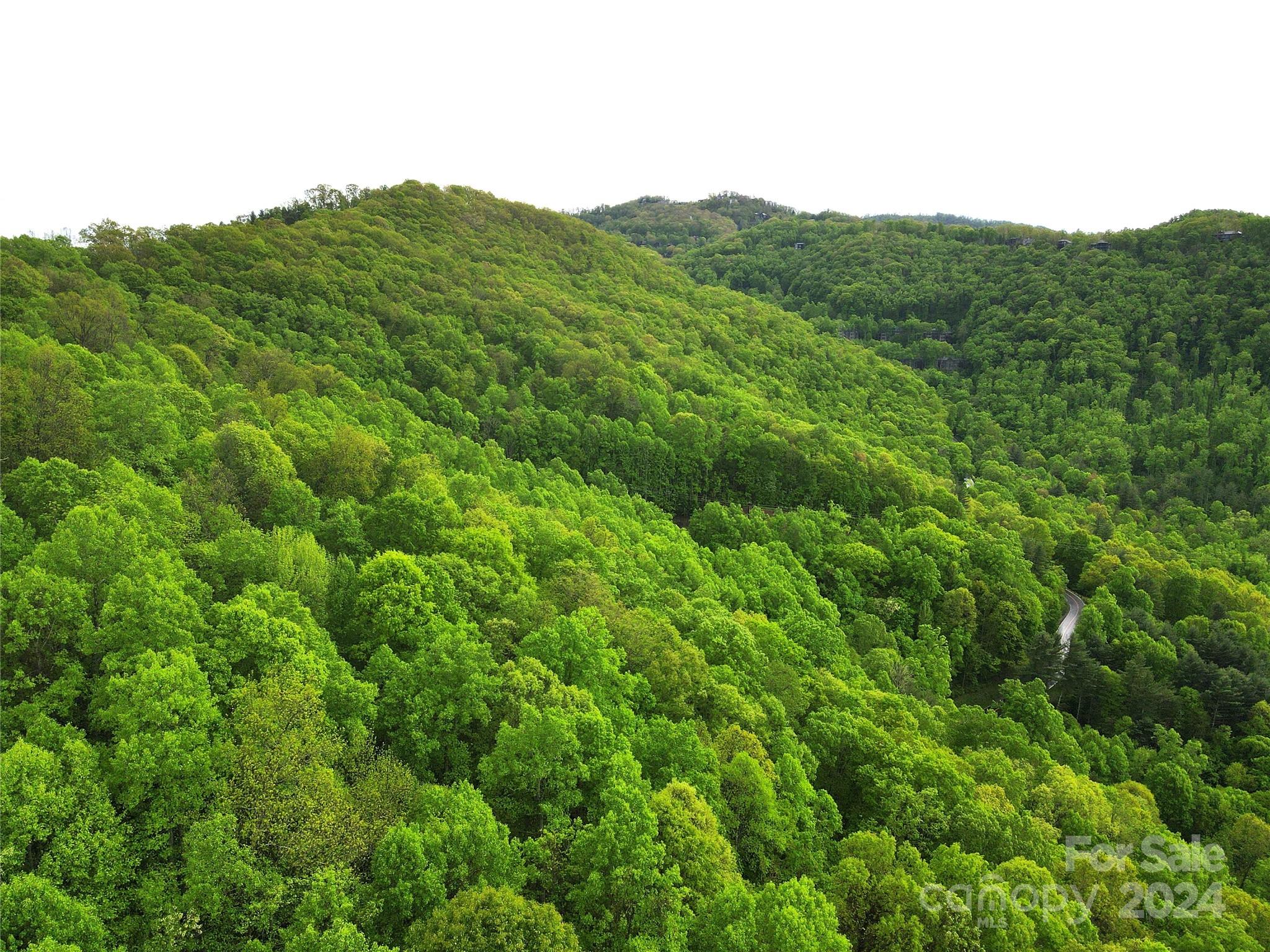 000 Mountain Air Drive Property Photo 13