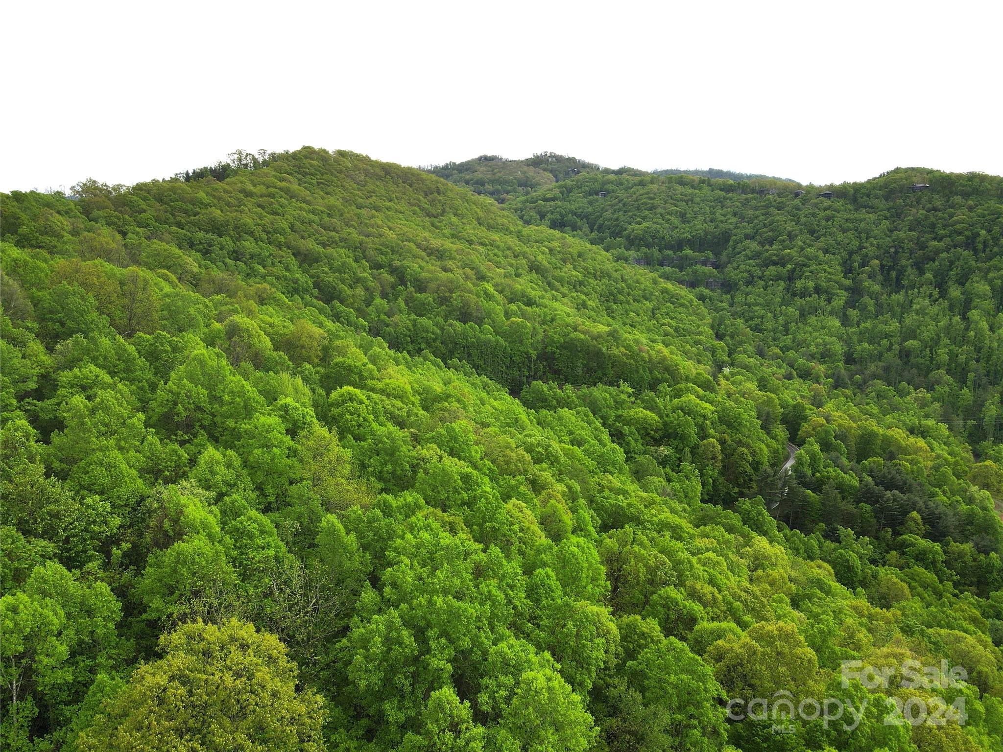 000 Mountain Air Drive Property Photo 14