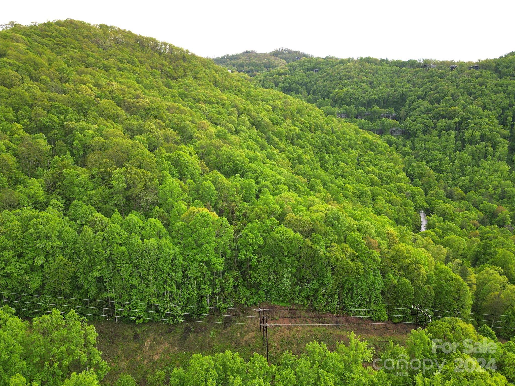 000 Mountain Air Drive Property Photo 17