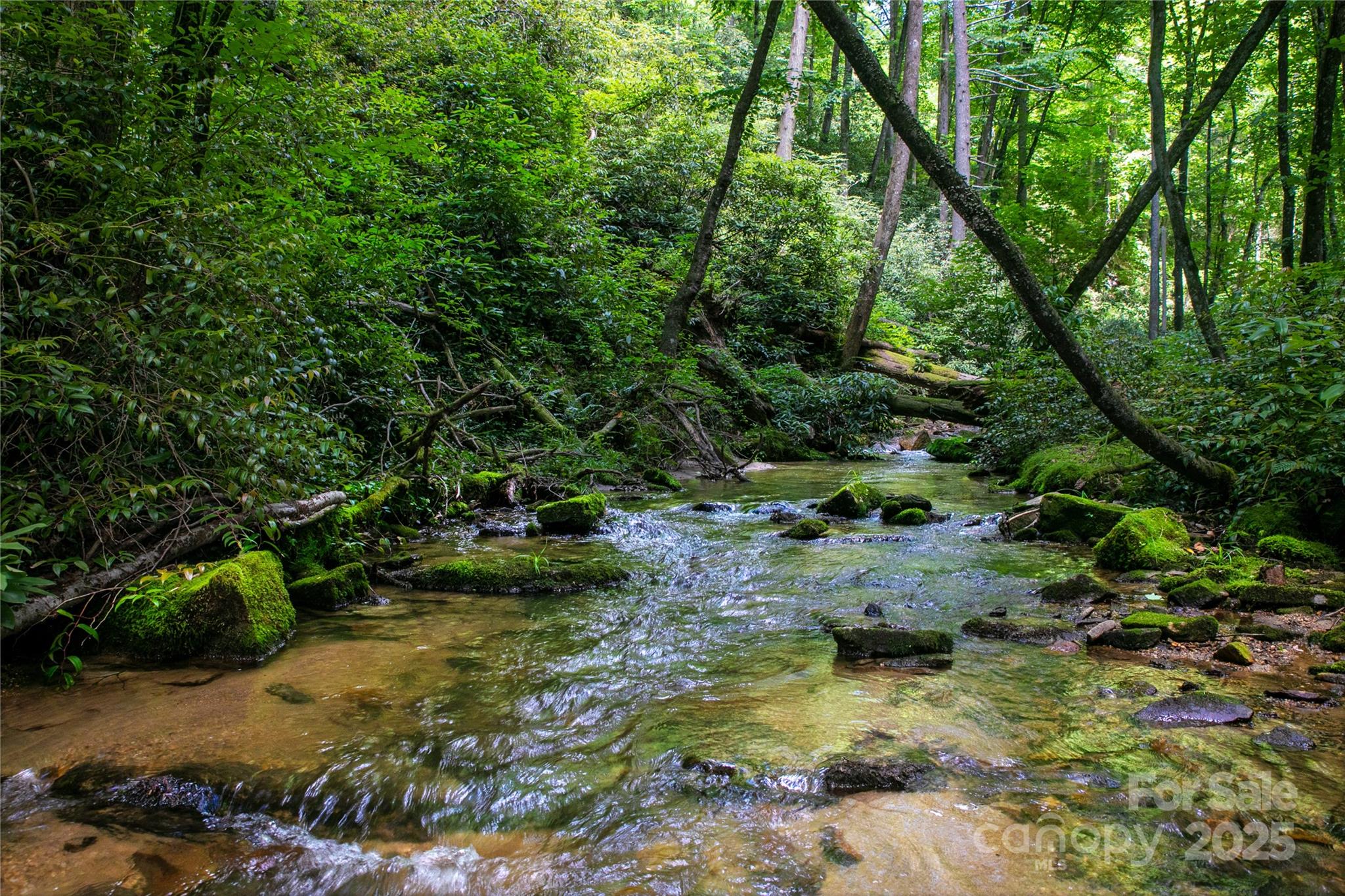 4277 Pickens Highway Property Photo 6