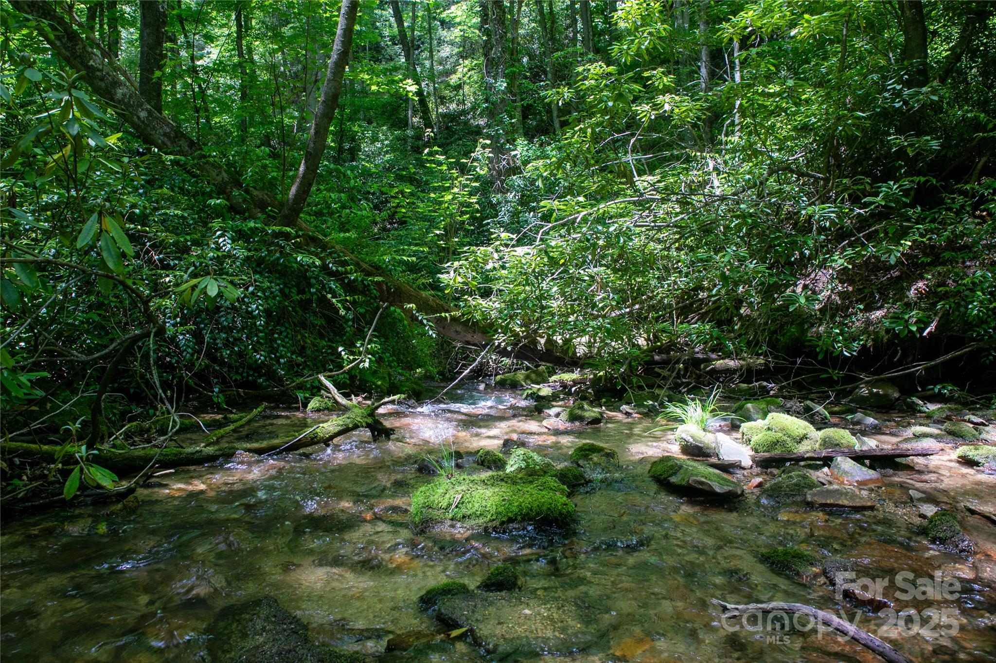 4277 Pickens Highway Property Photo 7