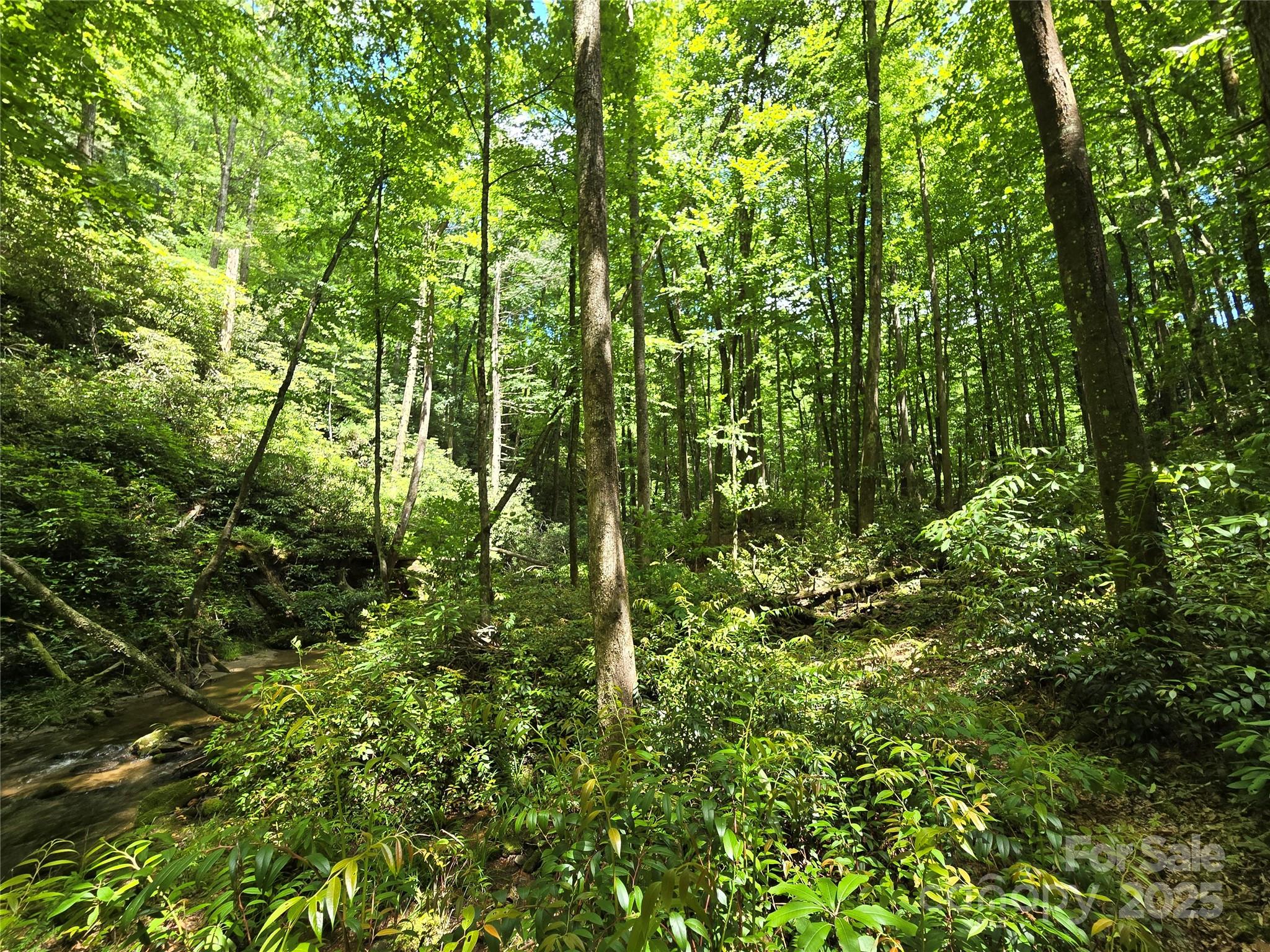 4277 Pickens Highway Property Photo 13