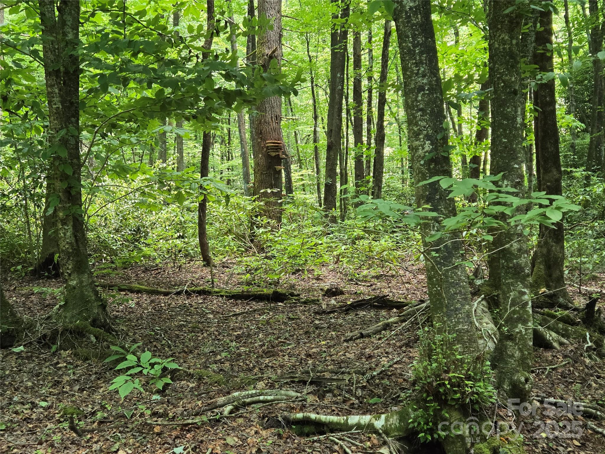 4277 Pickens Highway Property Photo 16