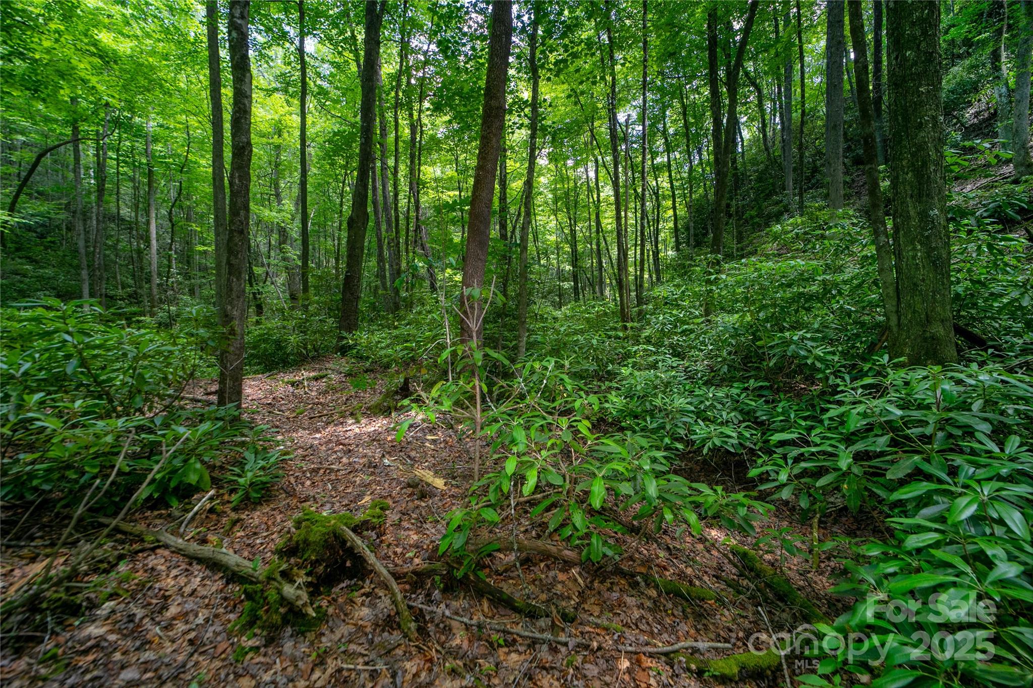 4277 Pickens Highway Property Photo 17