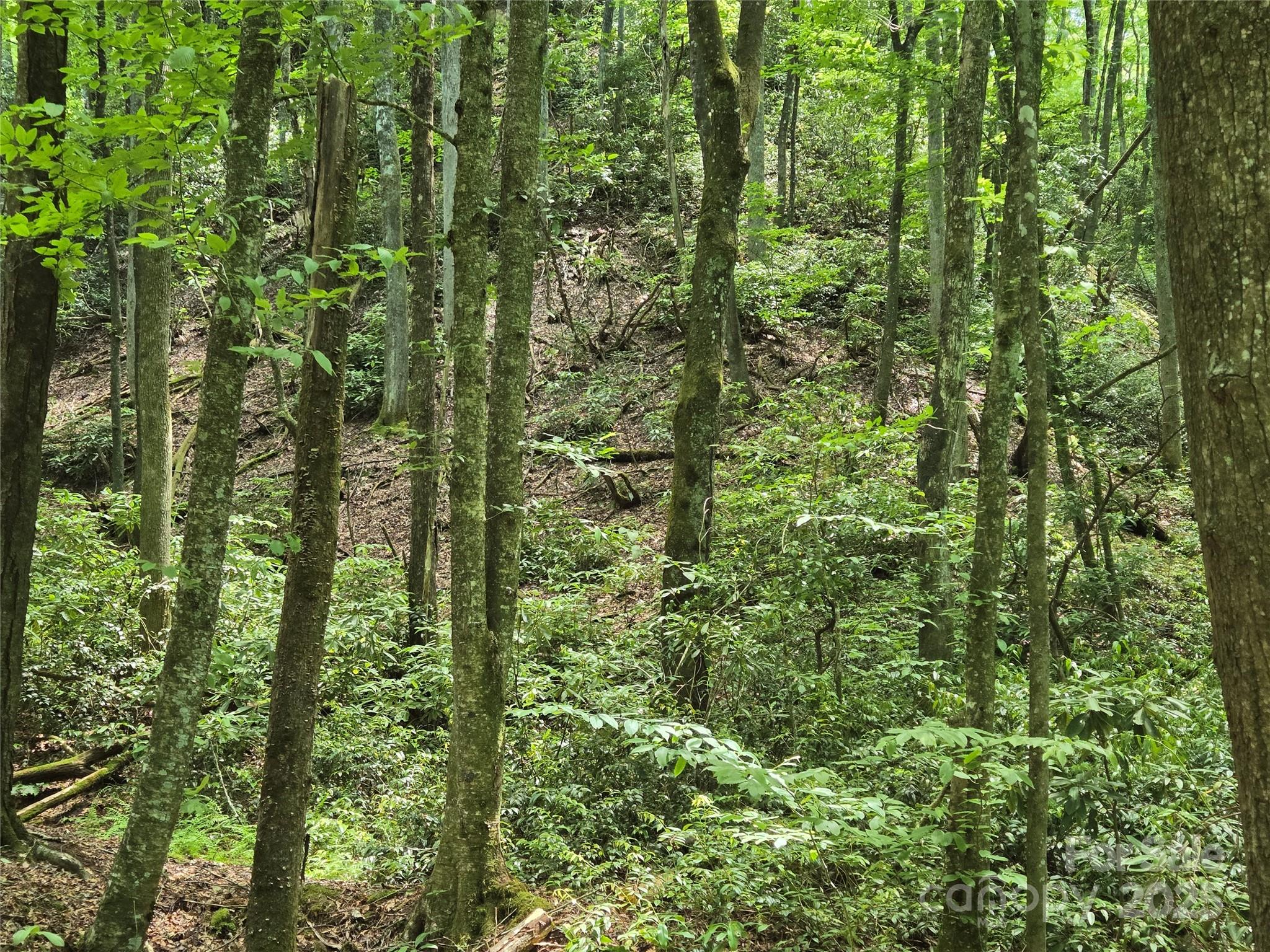 4277 Pickens Highway Property Photo 20