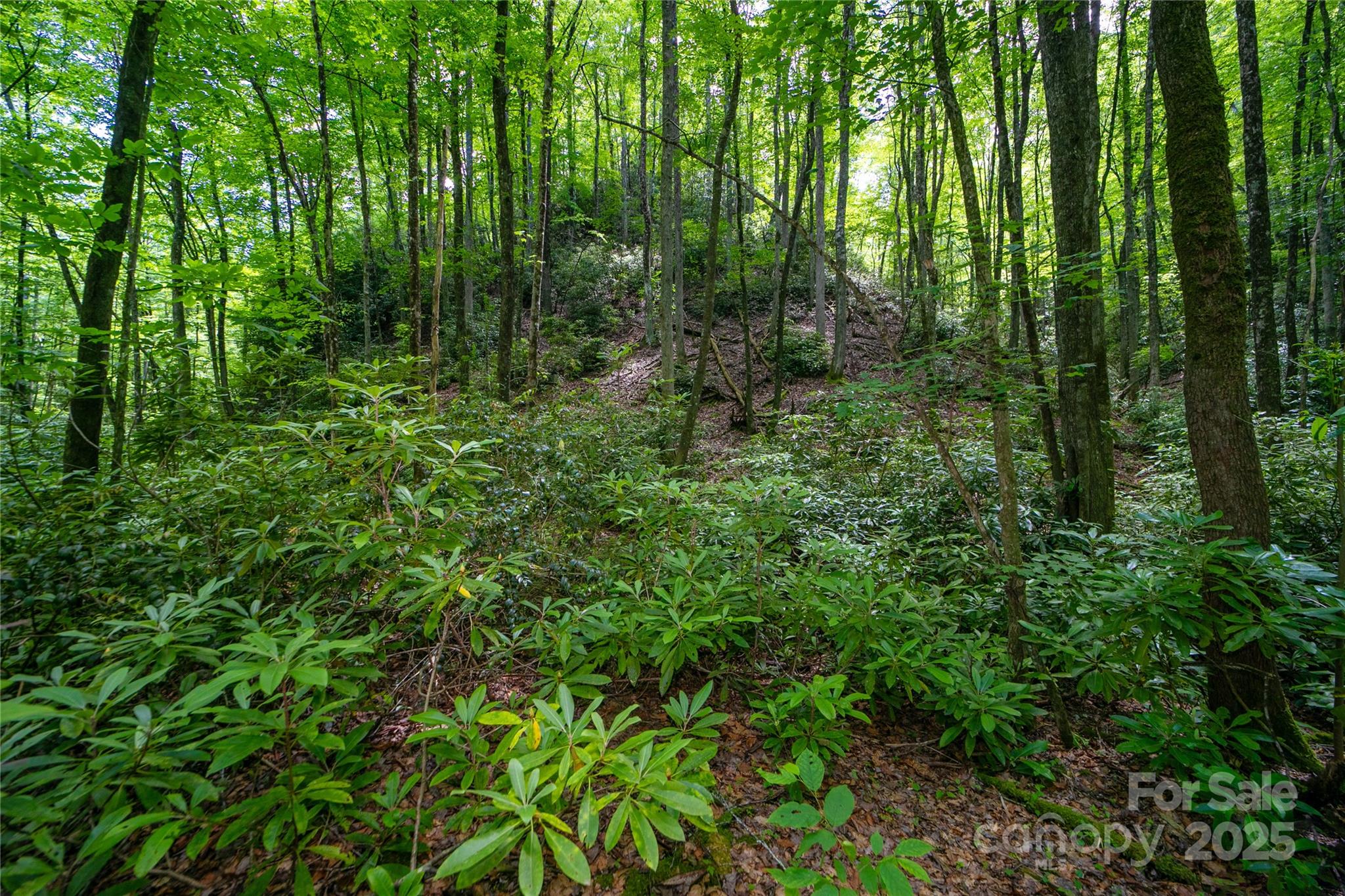 4277 Pickens Highway Property Photo 21