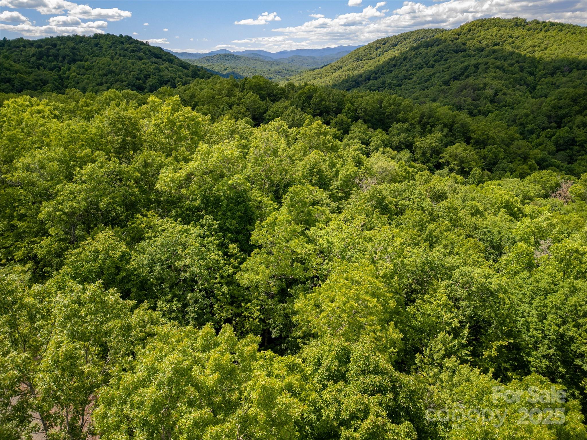 4277 Pickens Highway Property Photo 22
