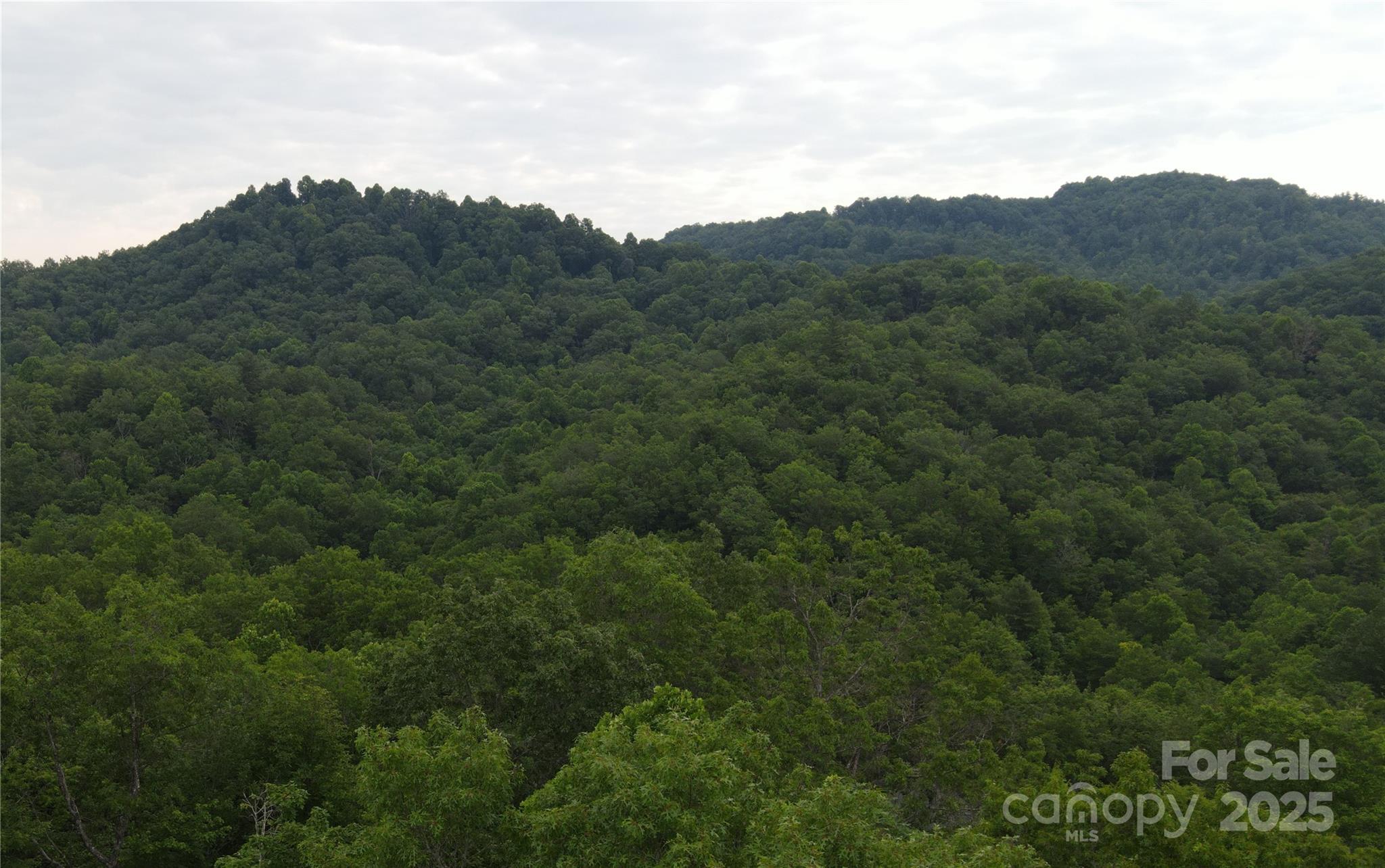 4277 Pickens Highway Property Photo 23