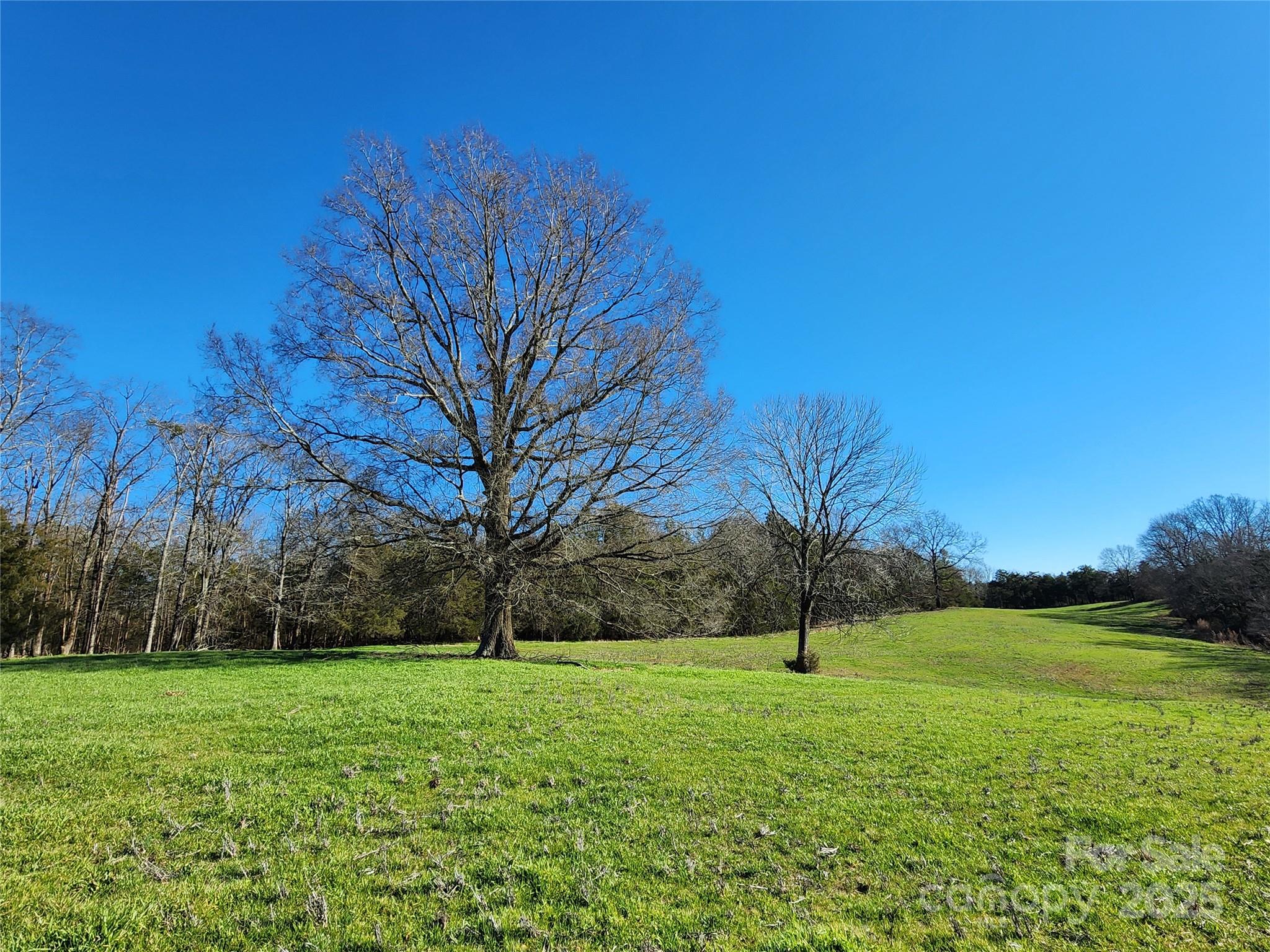 4800 Hula Drive Property Photo 1