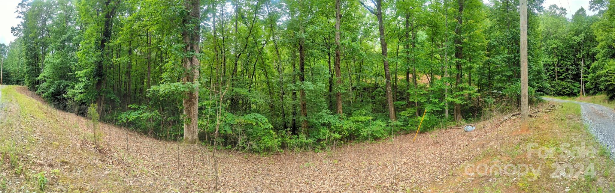 00 Jones Court Lot 552 Property Photo 4