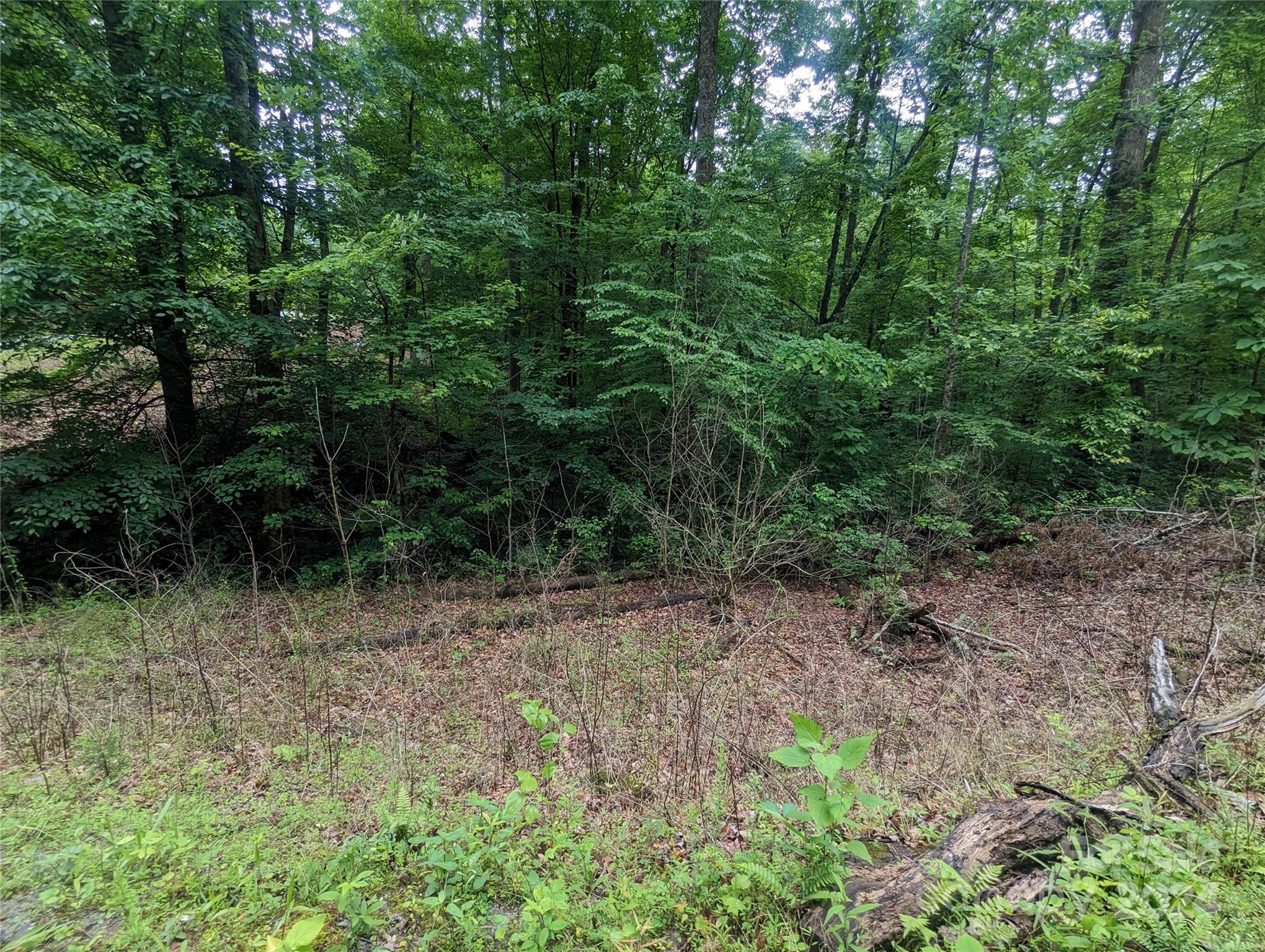00 Jones Court Lot 552 Property Photo 5