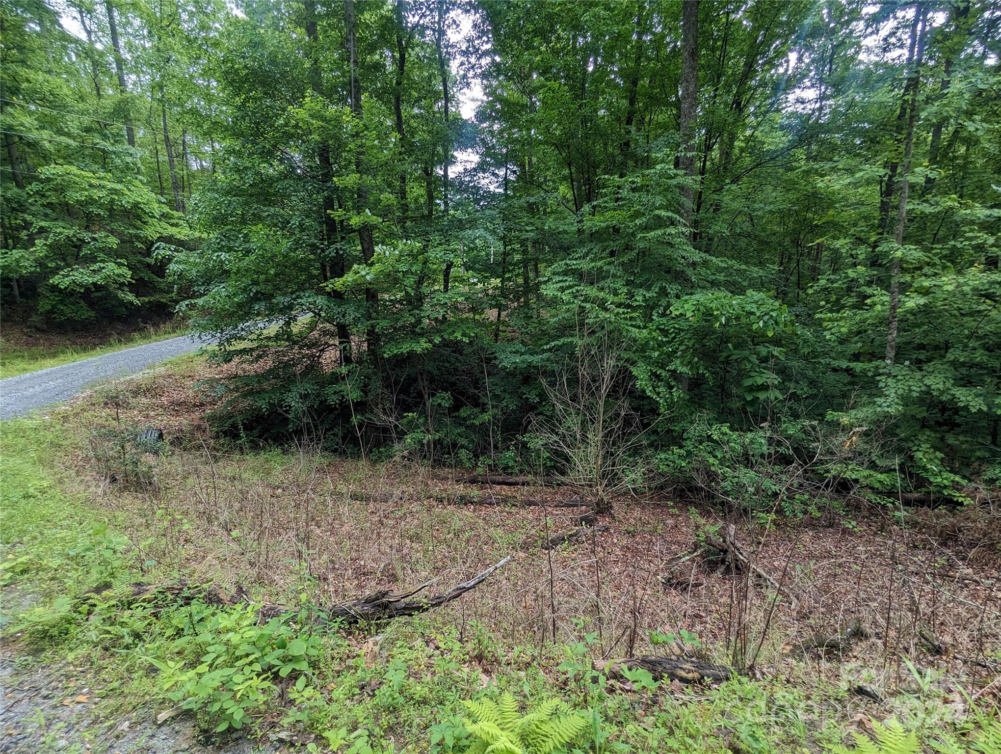 00 Jones Court Lot 552 Property Photo 6