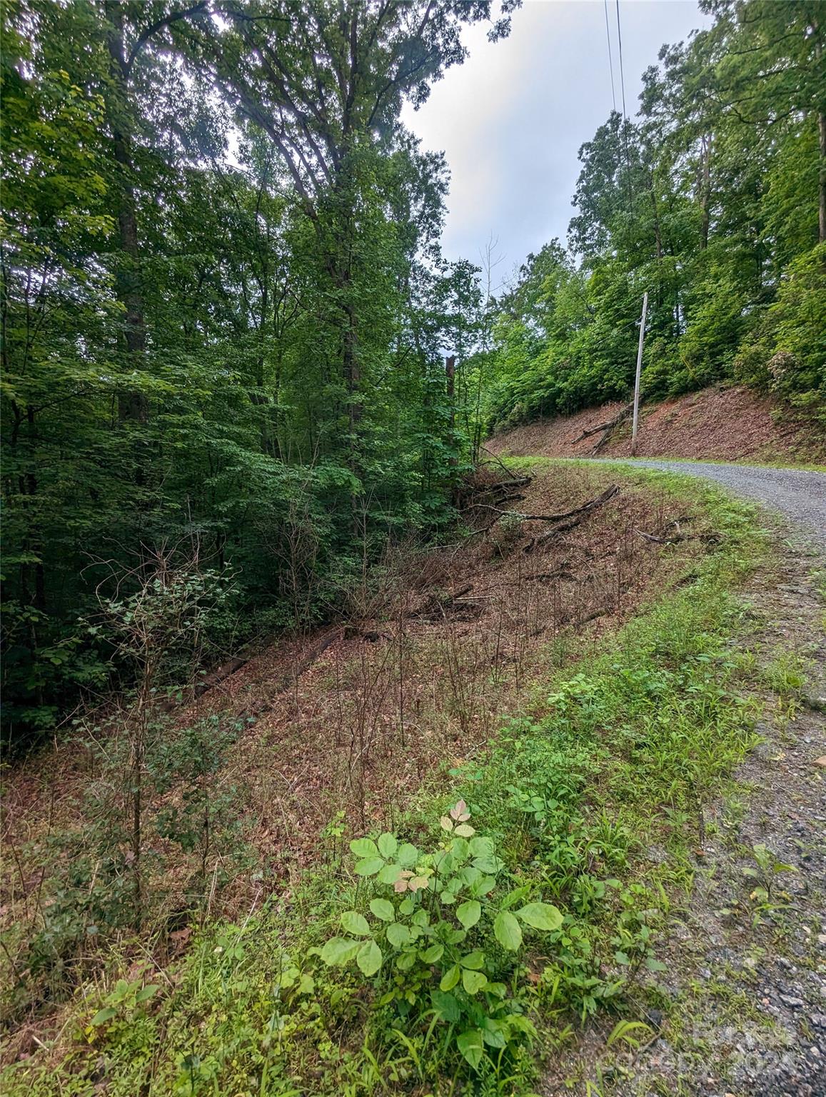 00 Jones Court Lot 552 Property Photo 8