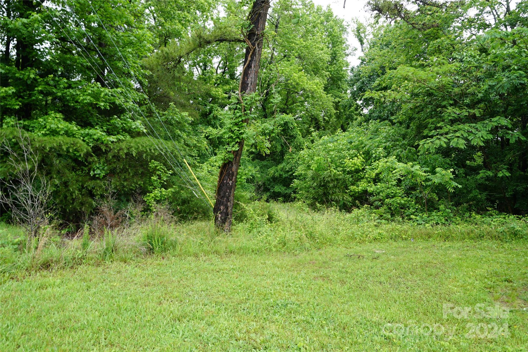 253 N Urban Street Property Photo 13