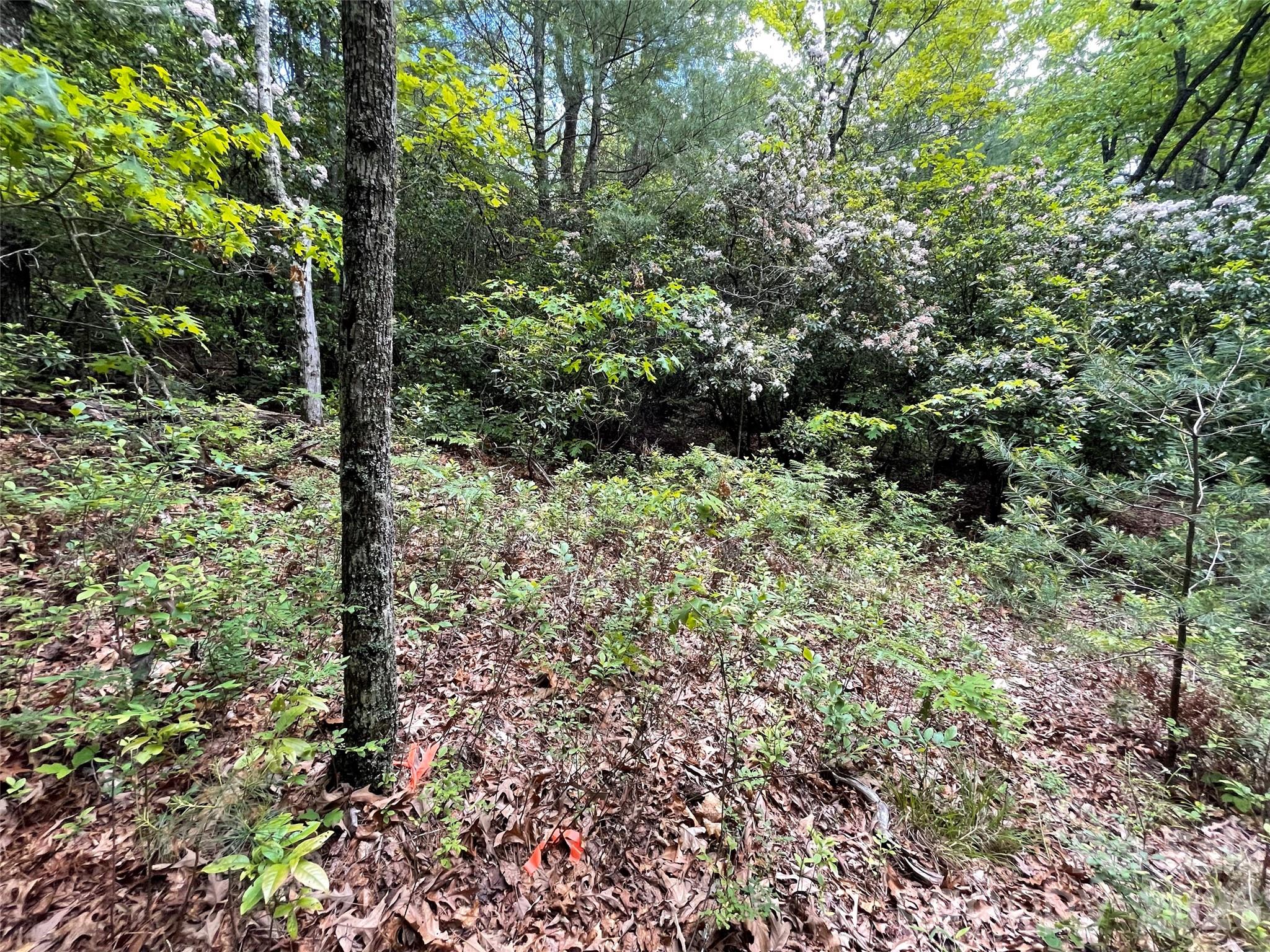 72 Emma Bri Lane Property Photo 8