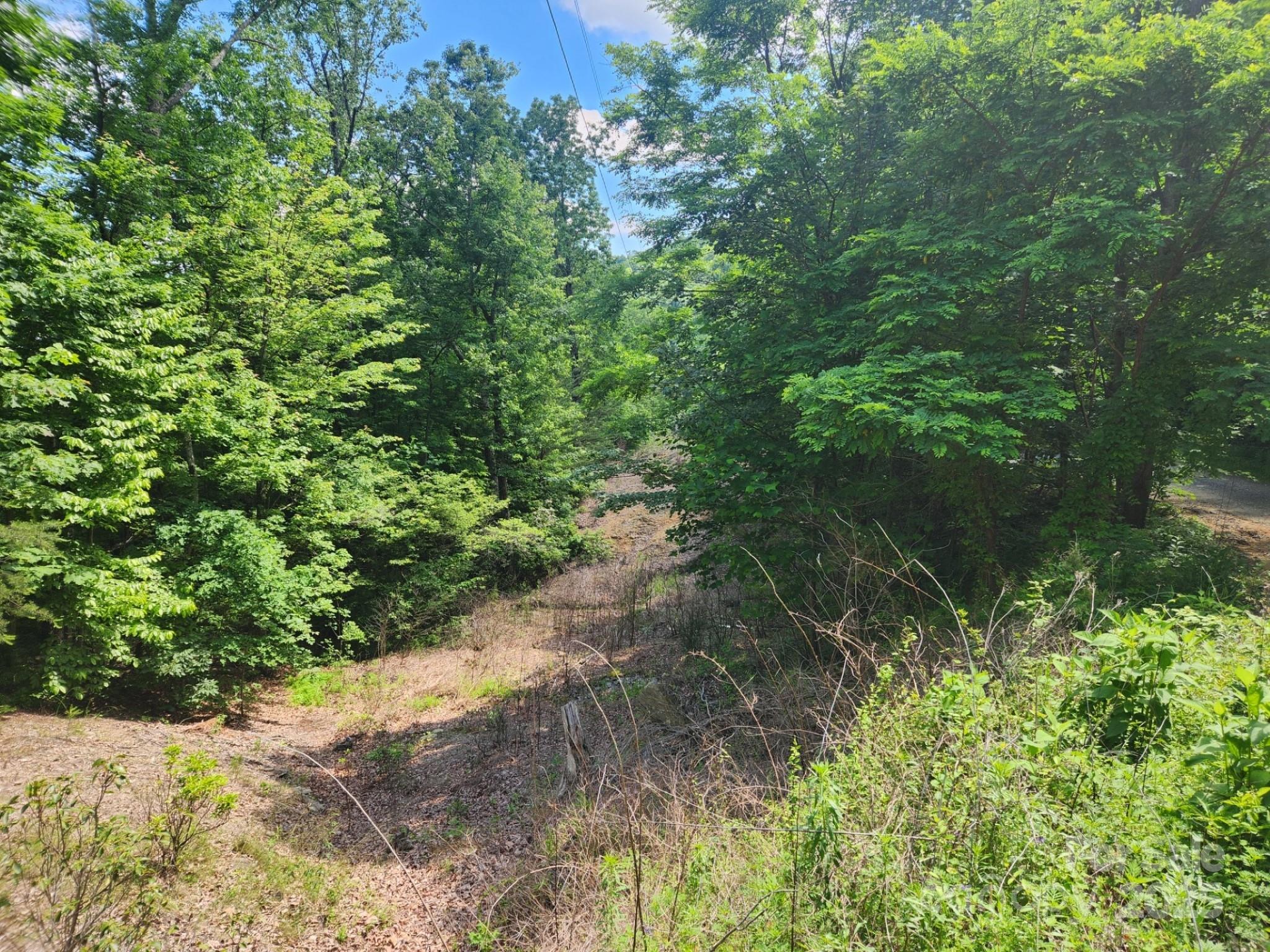 00 Hickory Nut Lane 390 Property Photo 2