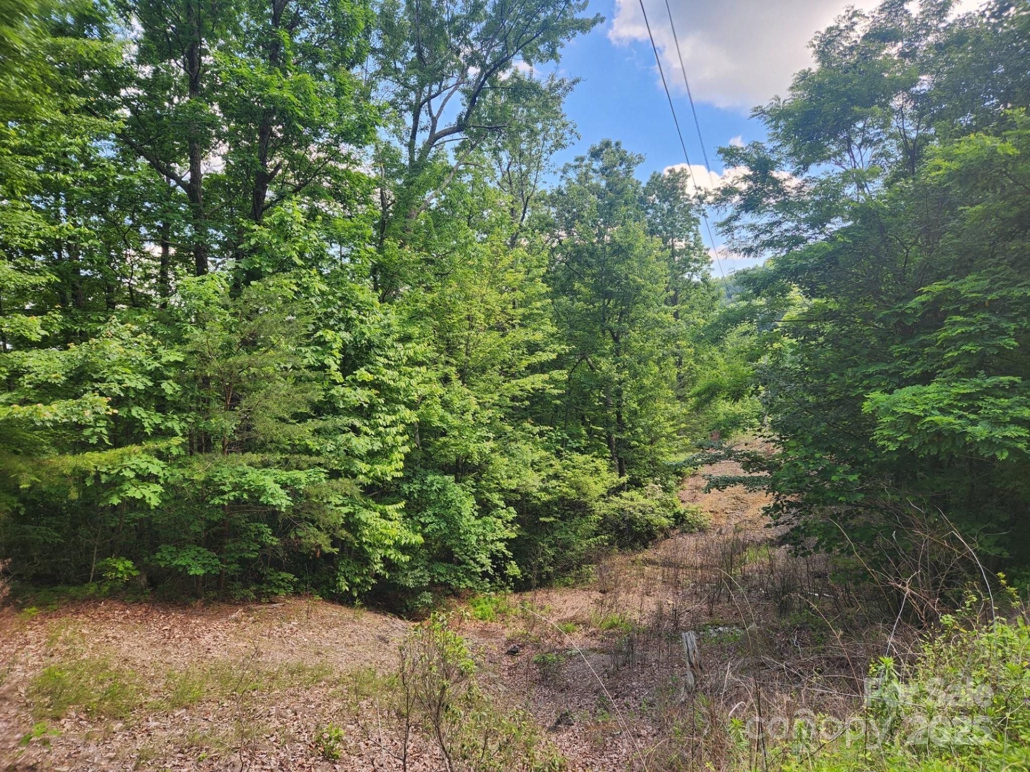 00 Hickory Nut Lane 390 Property Photo 3