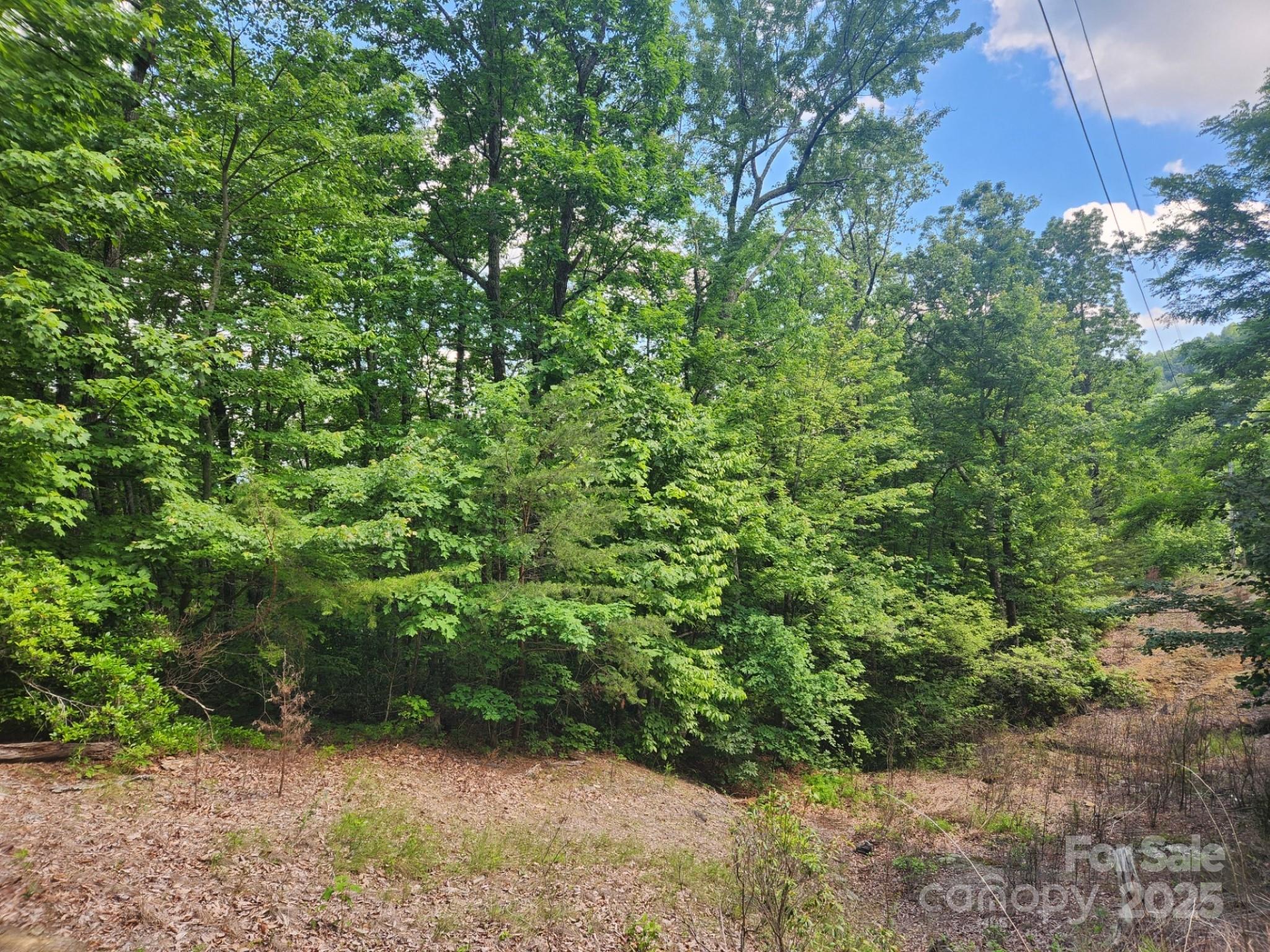 00 Hickory Nut Lane 390 Property Photo 4