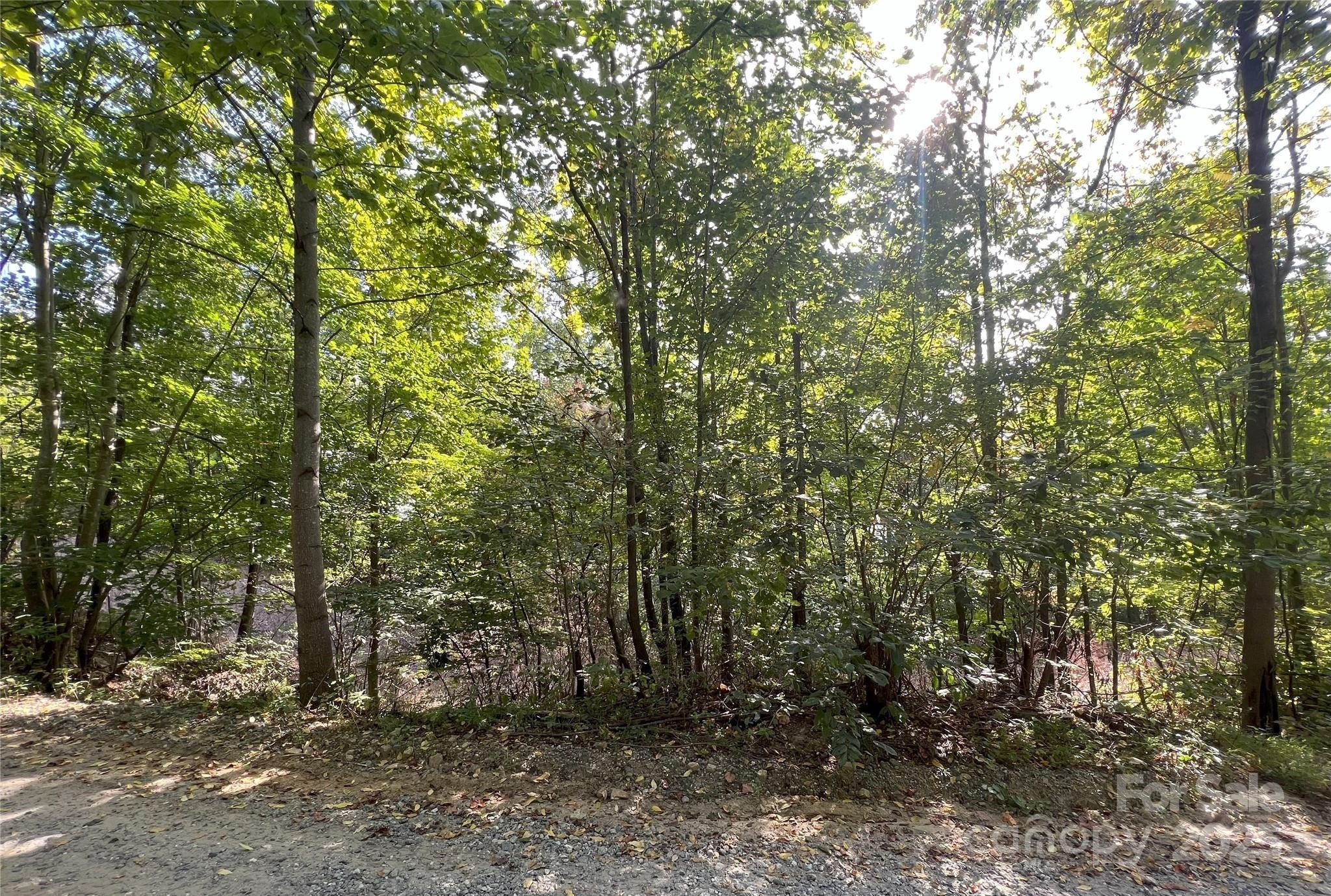 00 Hickory Nut Lane 390 Property Photo 6