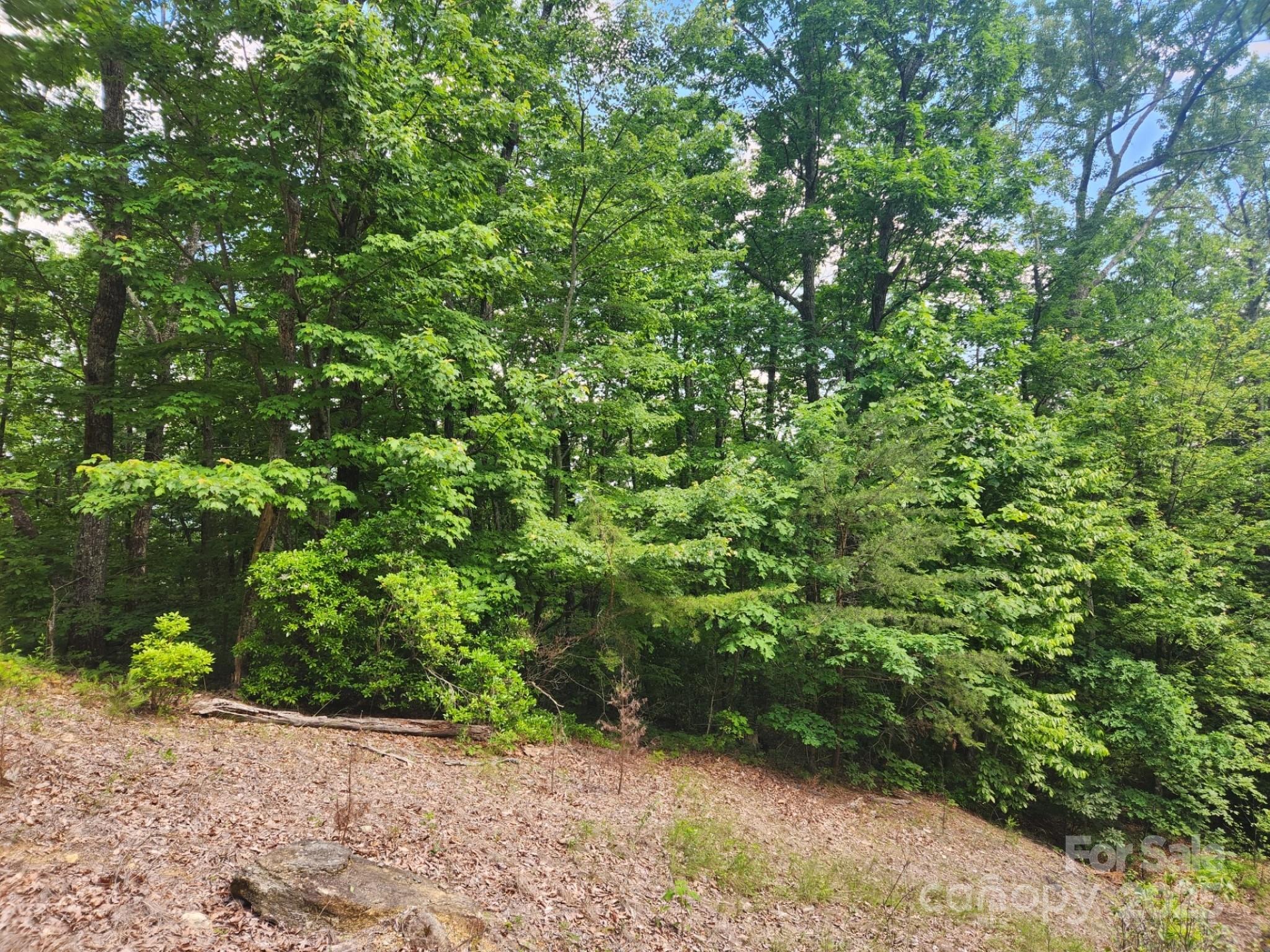 00 Hickory Nut Lane 390 Property Photo 18
