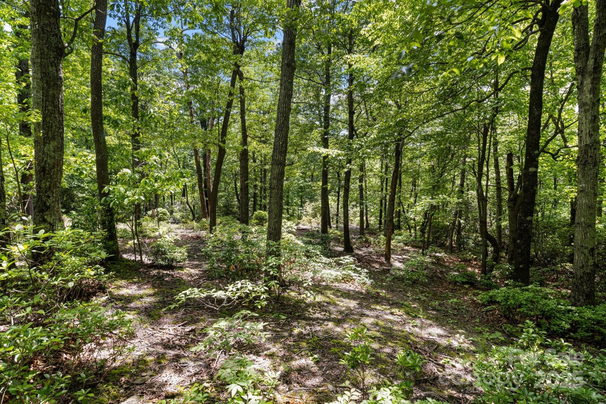 99999 Arrowhead Trail 80 Property Photo 2