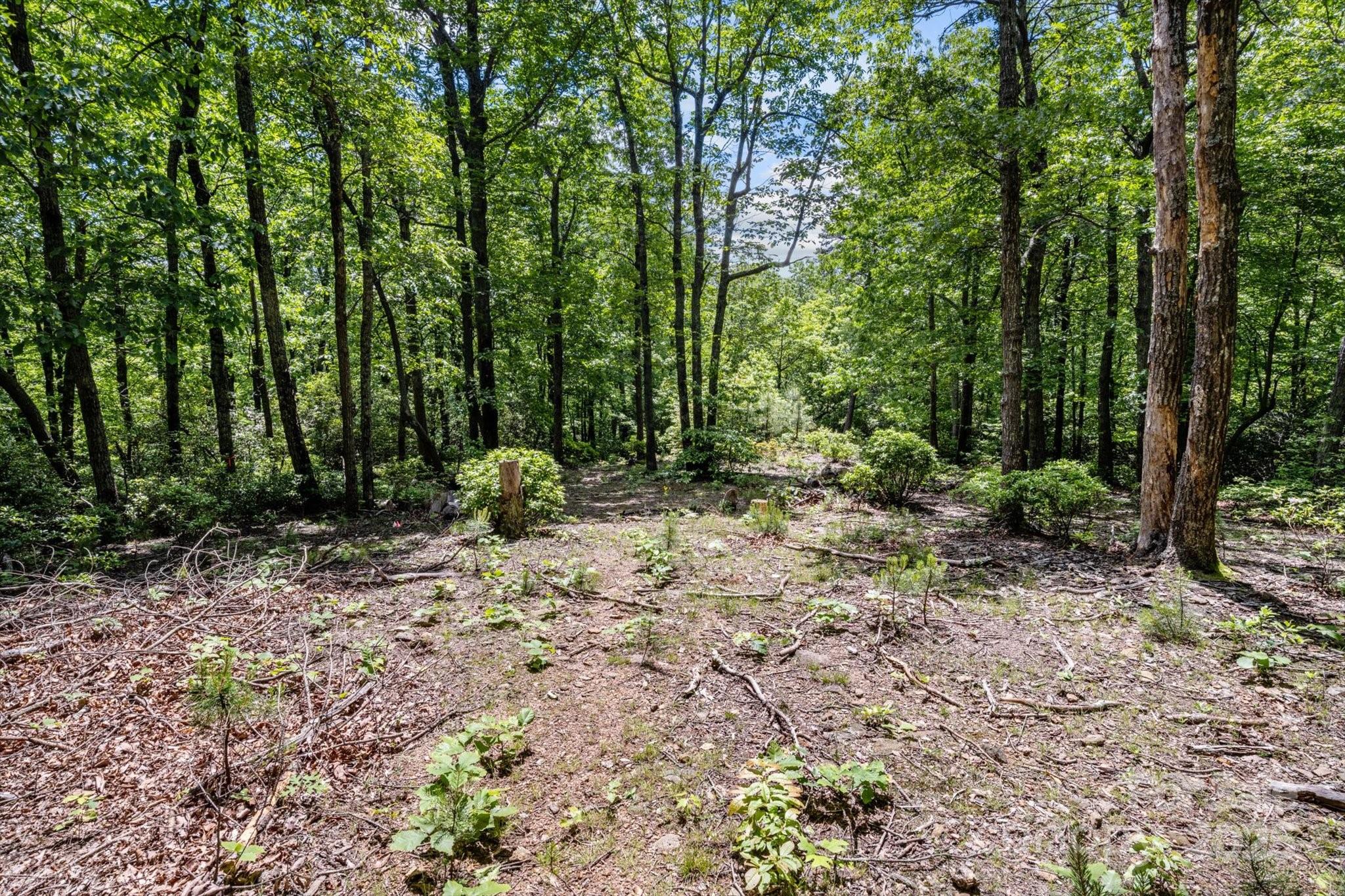 99999 Arrowhead Trail 80 Property Photo 4
