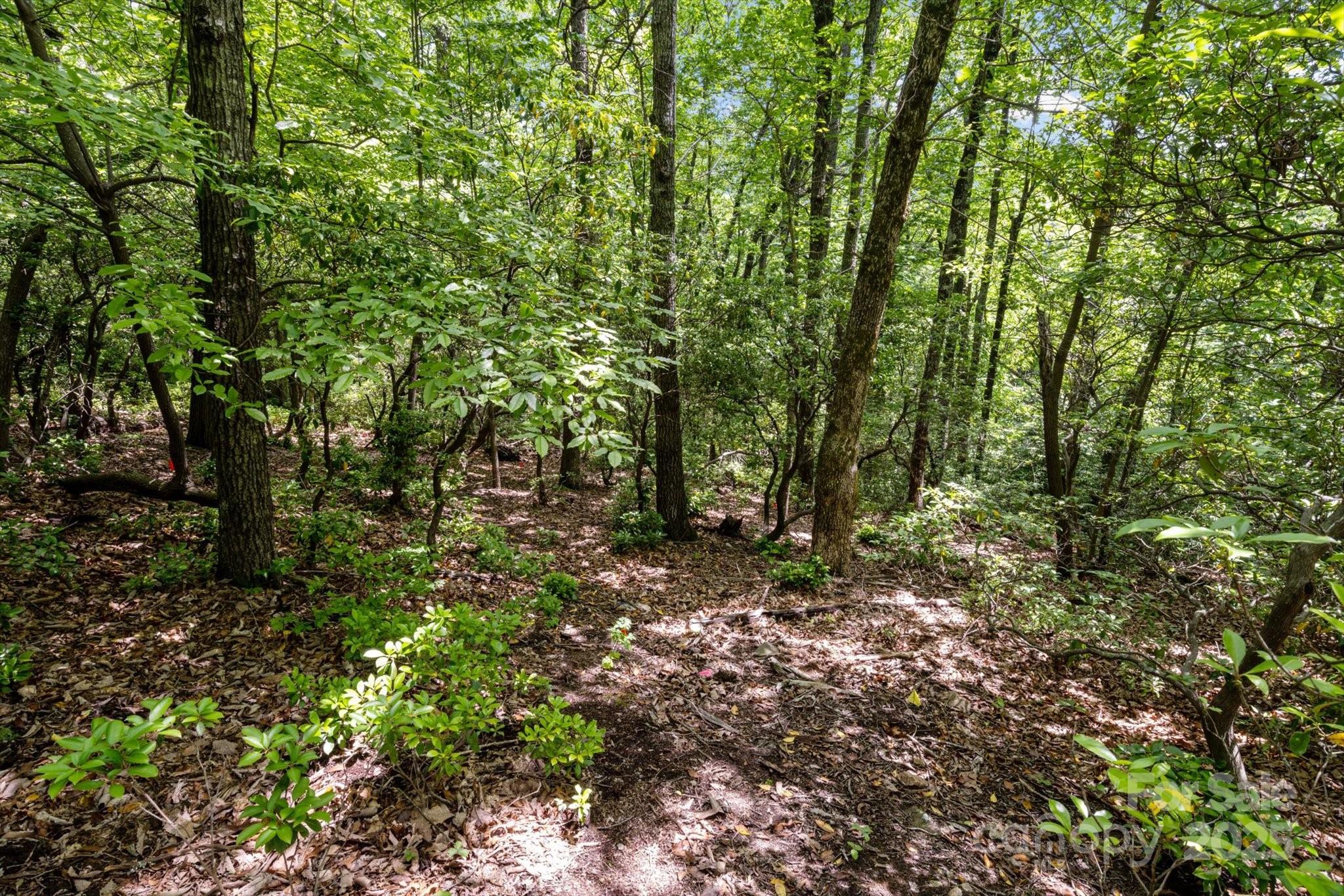 99999 Arrowhead Trail 80 Property Photo 5