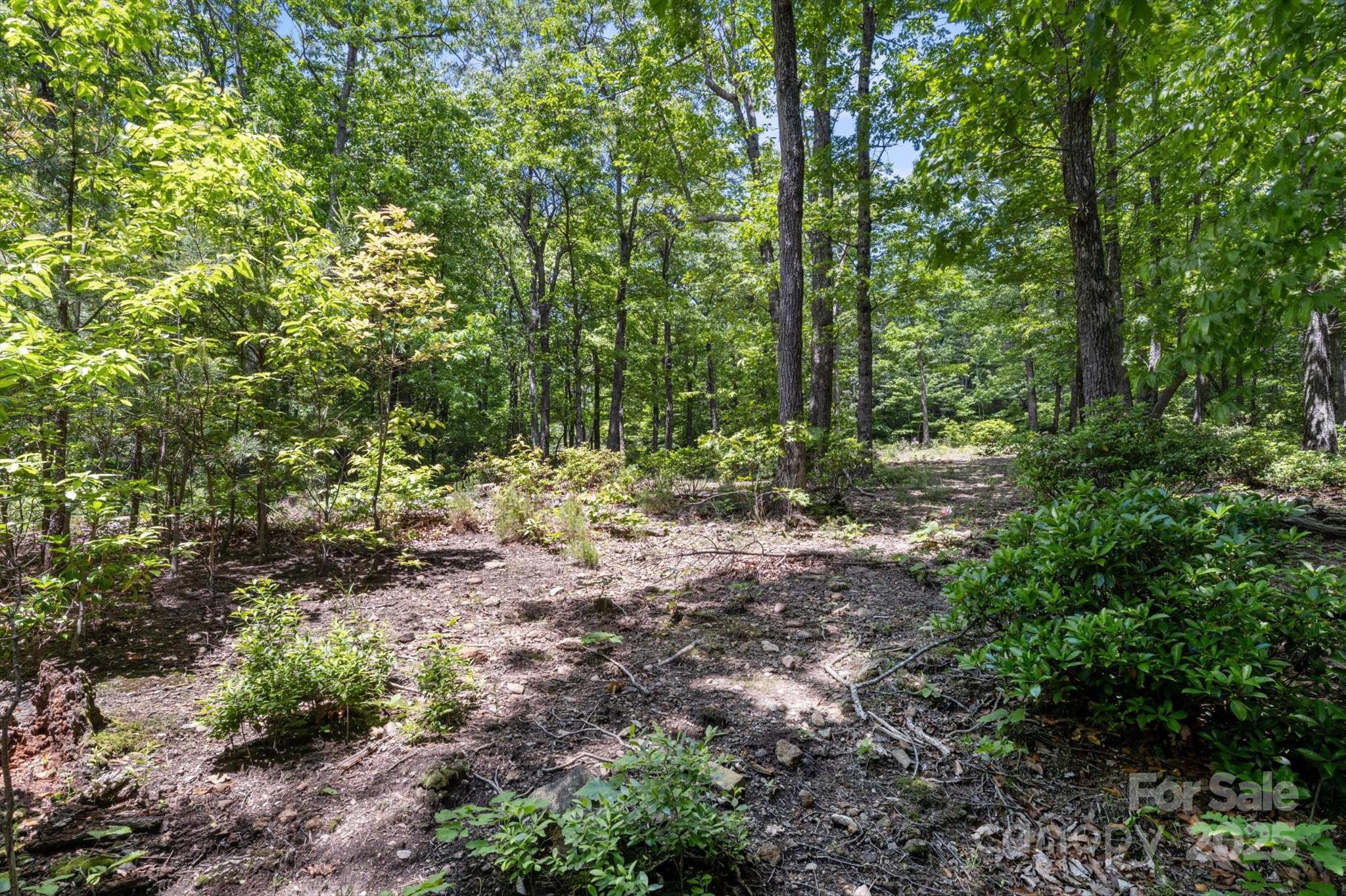 99999 Arrowhead Trail 80 Property Photo 6