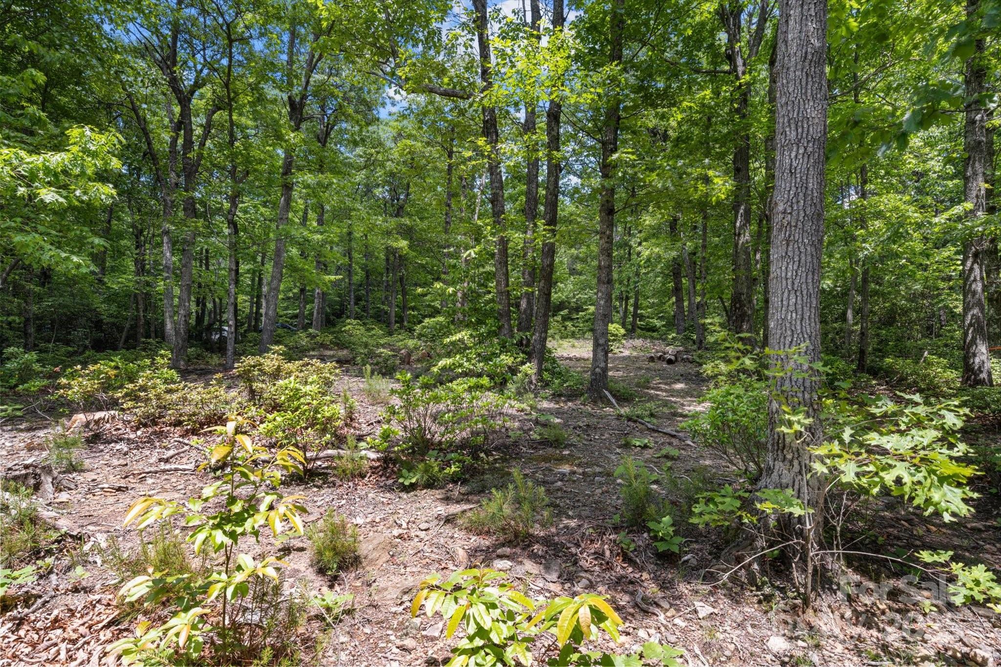 99999 Arrowhead Trail 80 Property Photo 7