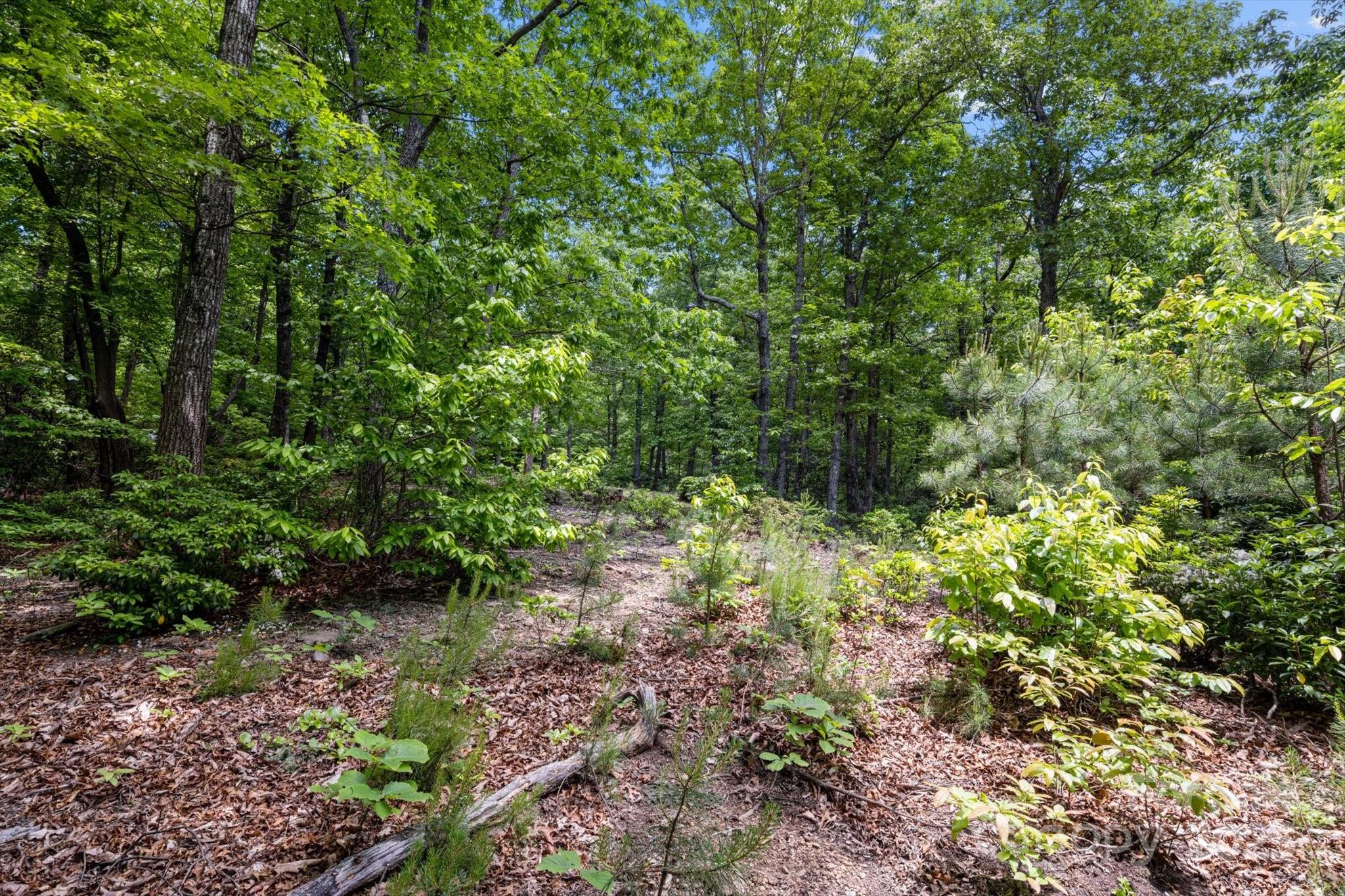 99999 Arrowhead Trail 80 Property Photo 8
