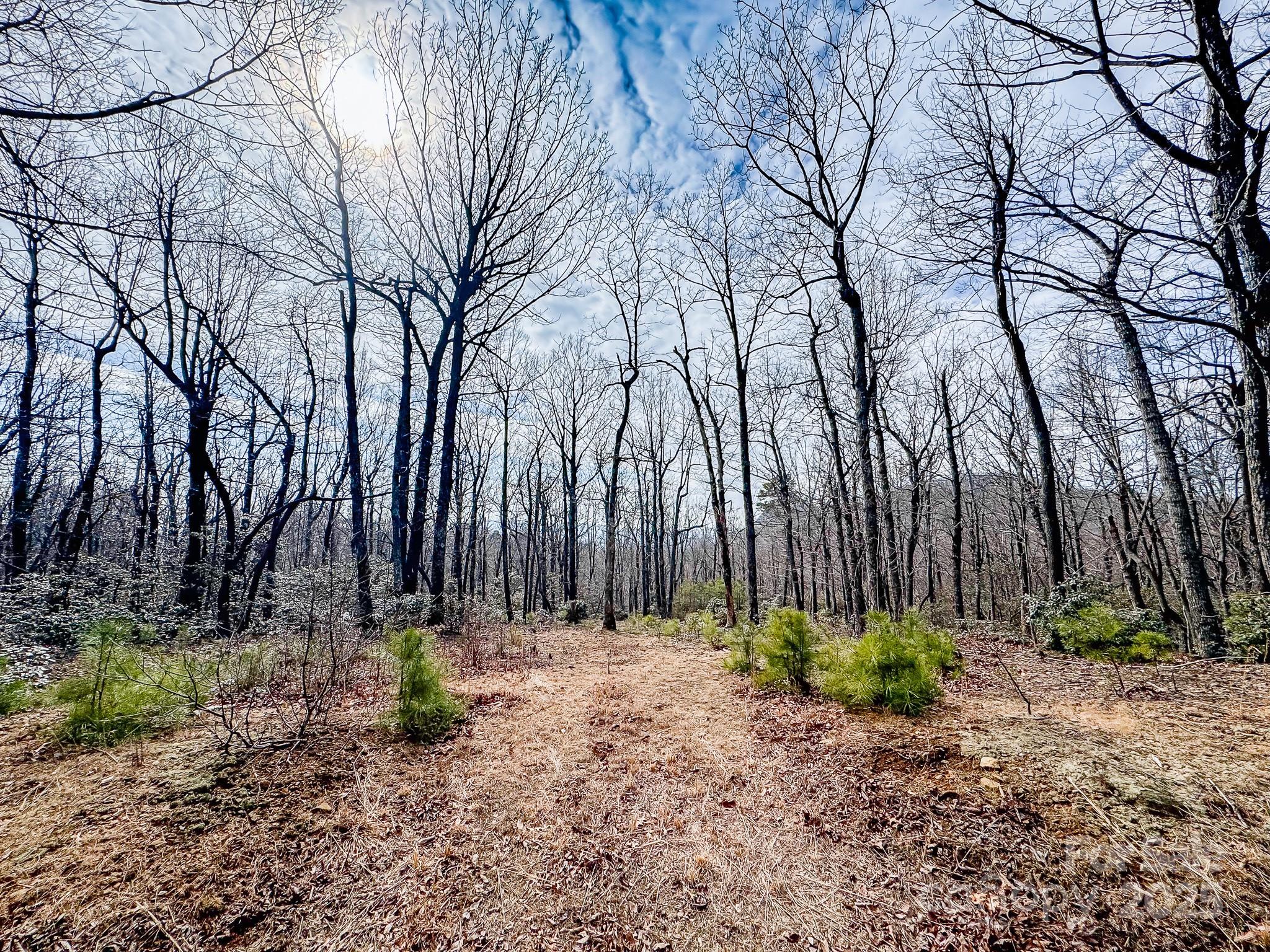99999 Arrowhead Trail 80 Property Photo 15