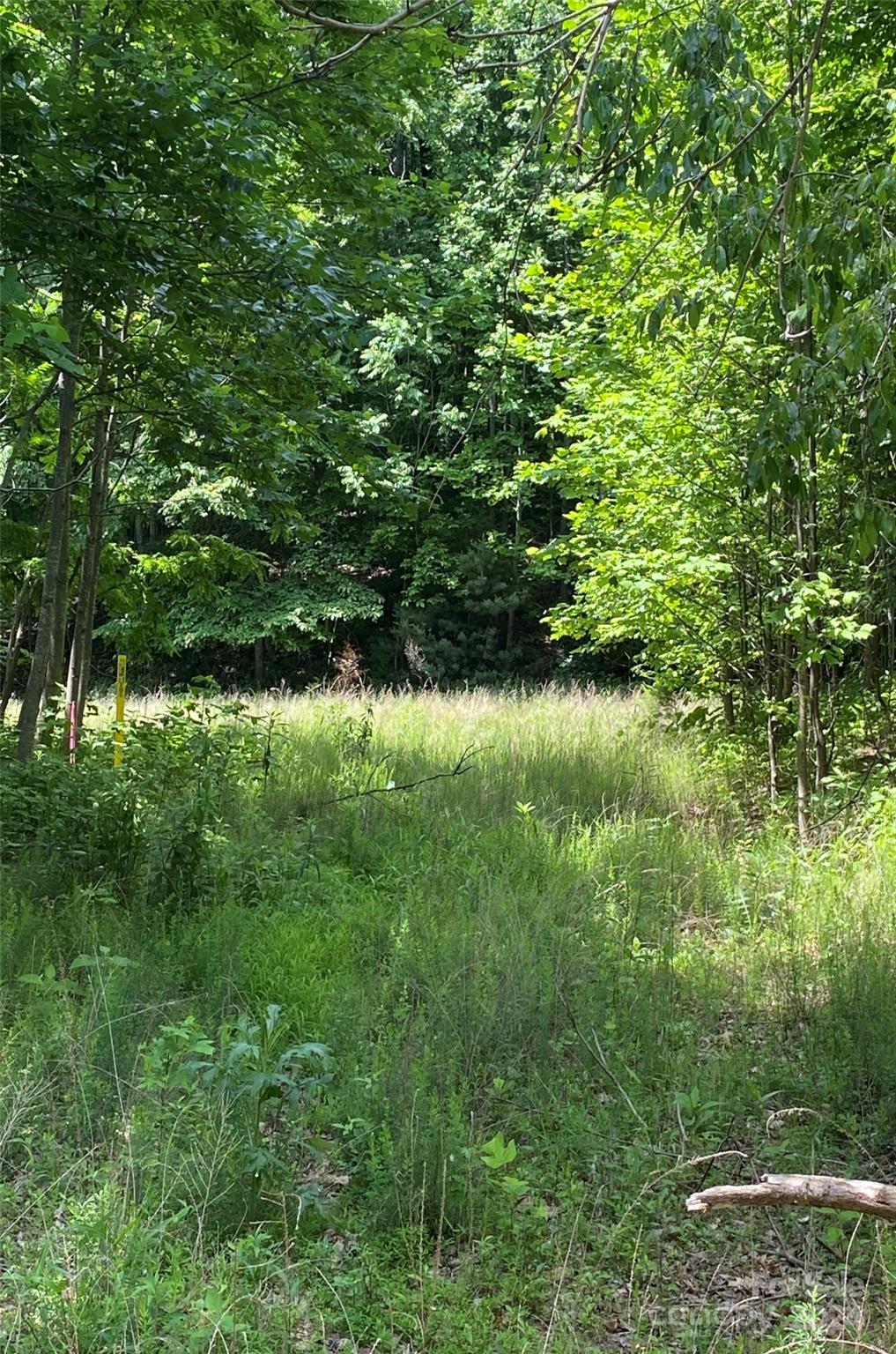 199 Cherry Hill None Property Photo 1