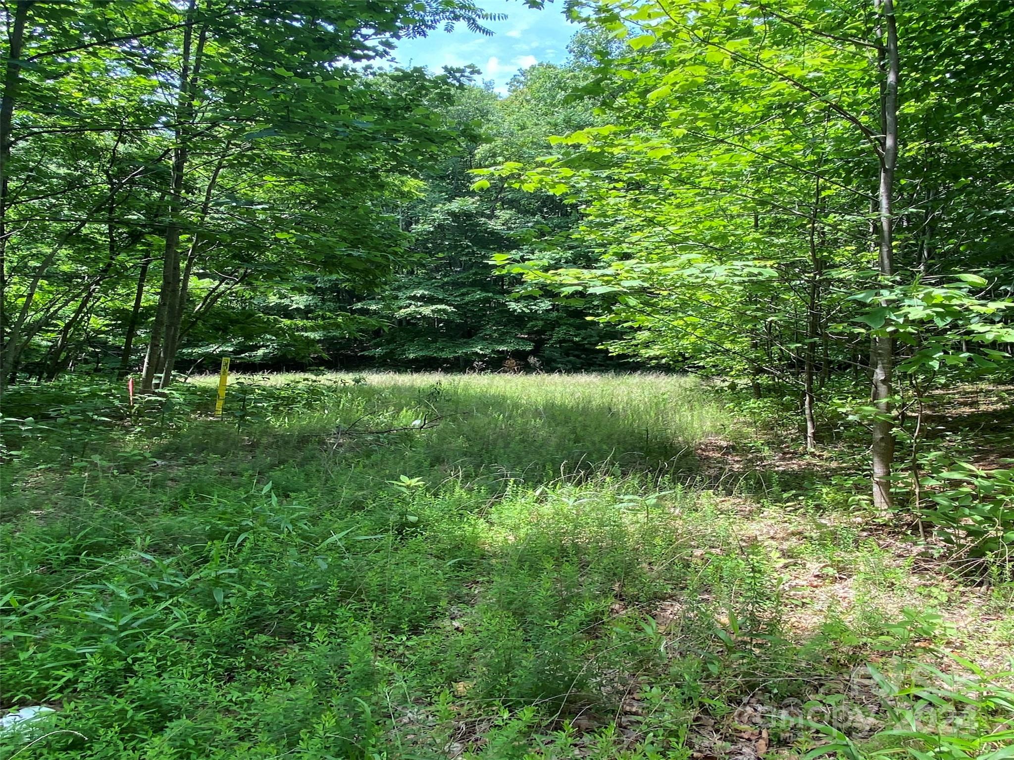 199 Cherry Hill None Property Photo 2