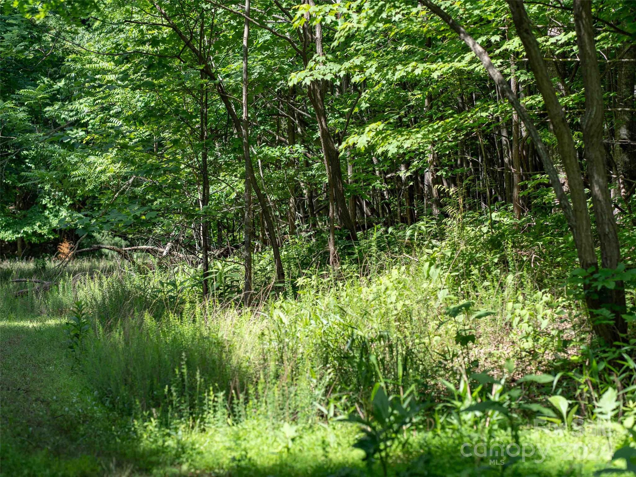 199 Cherry Hill None Property Photo 4