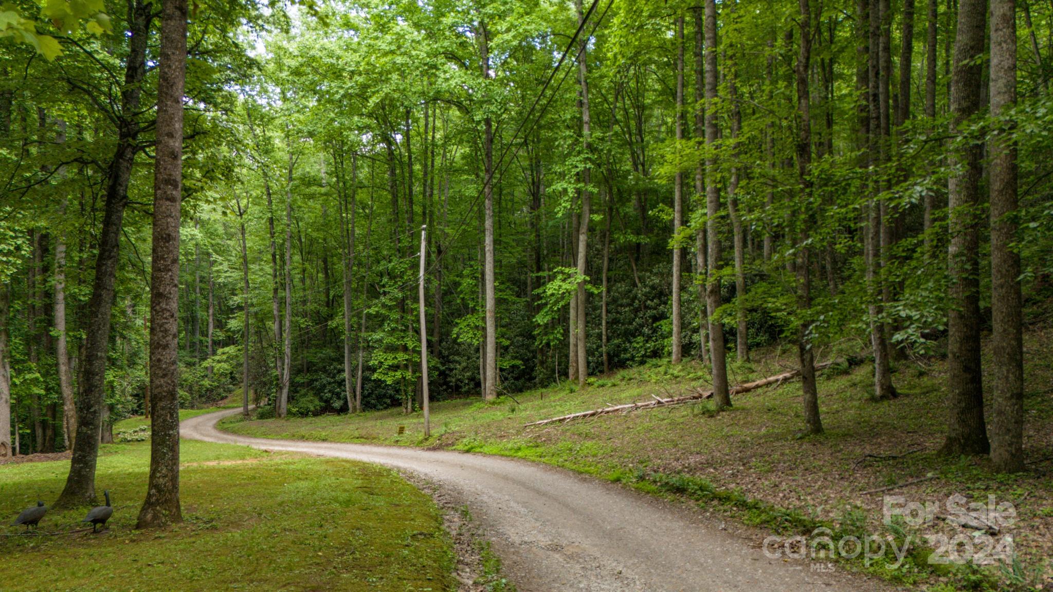 95 Treetops Drive Property Photo 3