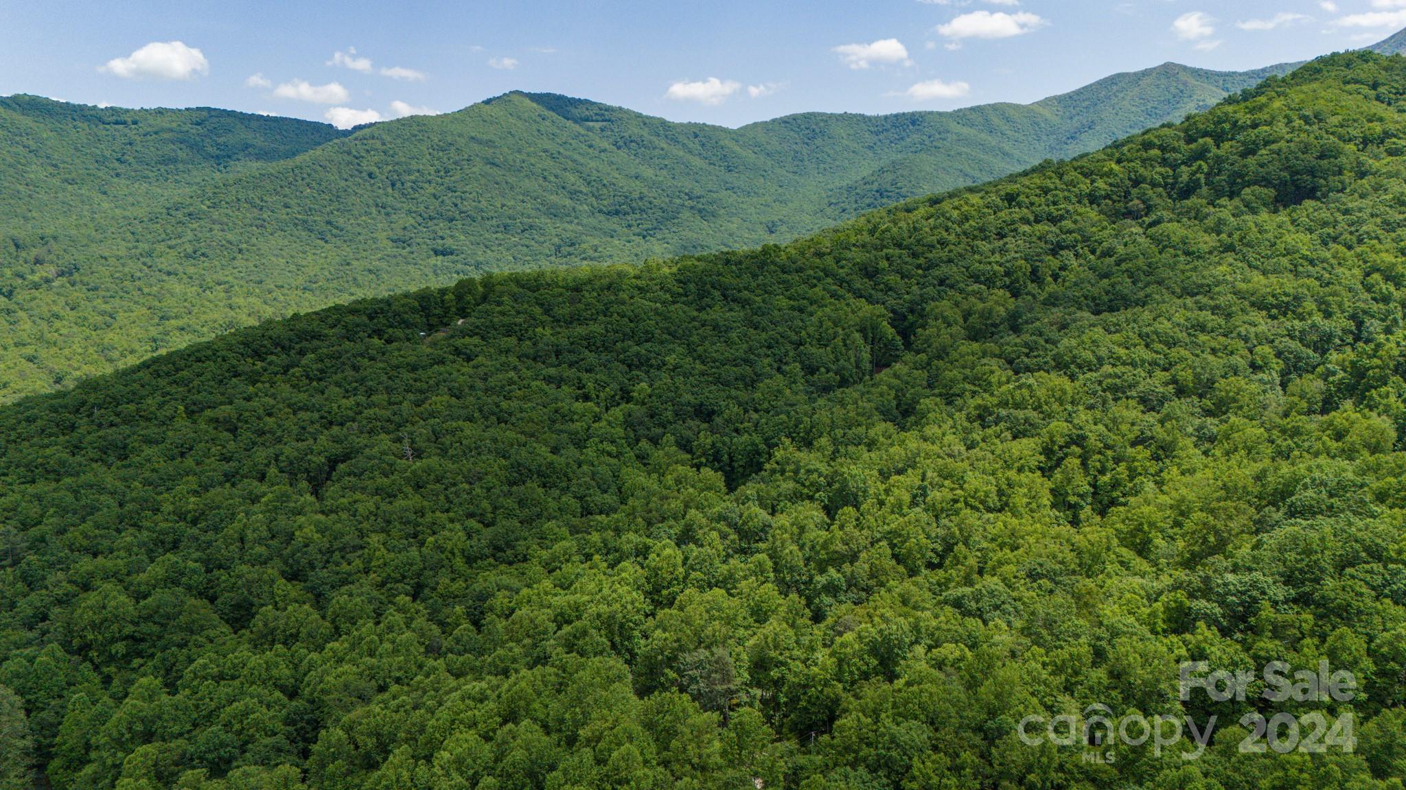 95 Treetops Drive Property Photo 10