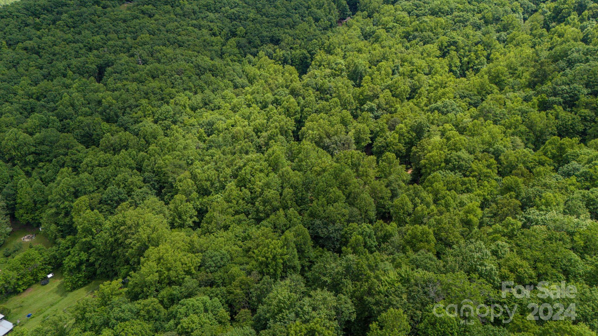 95 Treetops Drive Property Photo 12